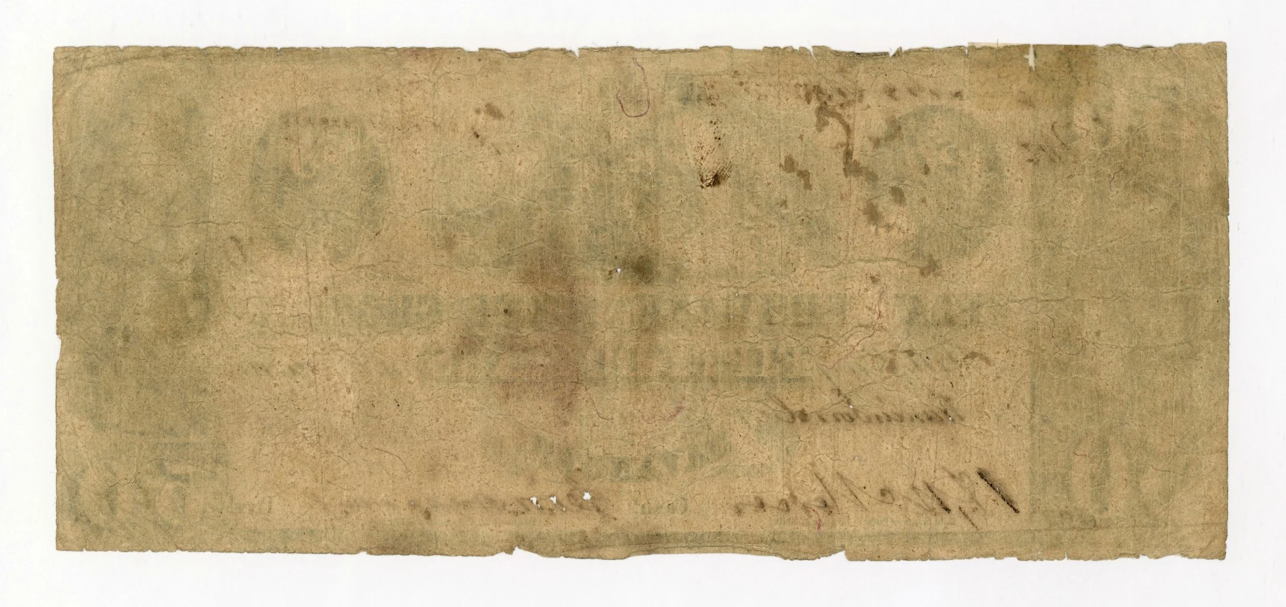 61904b.jpg