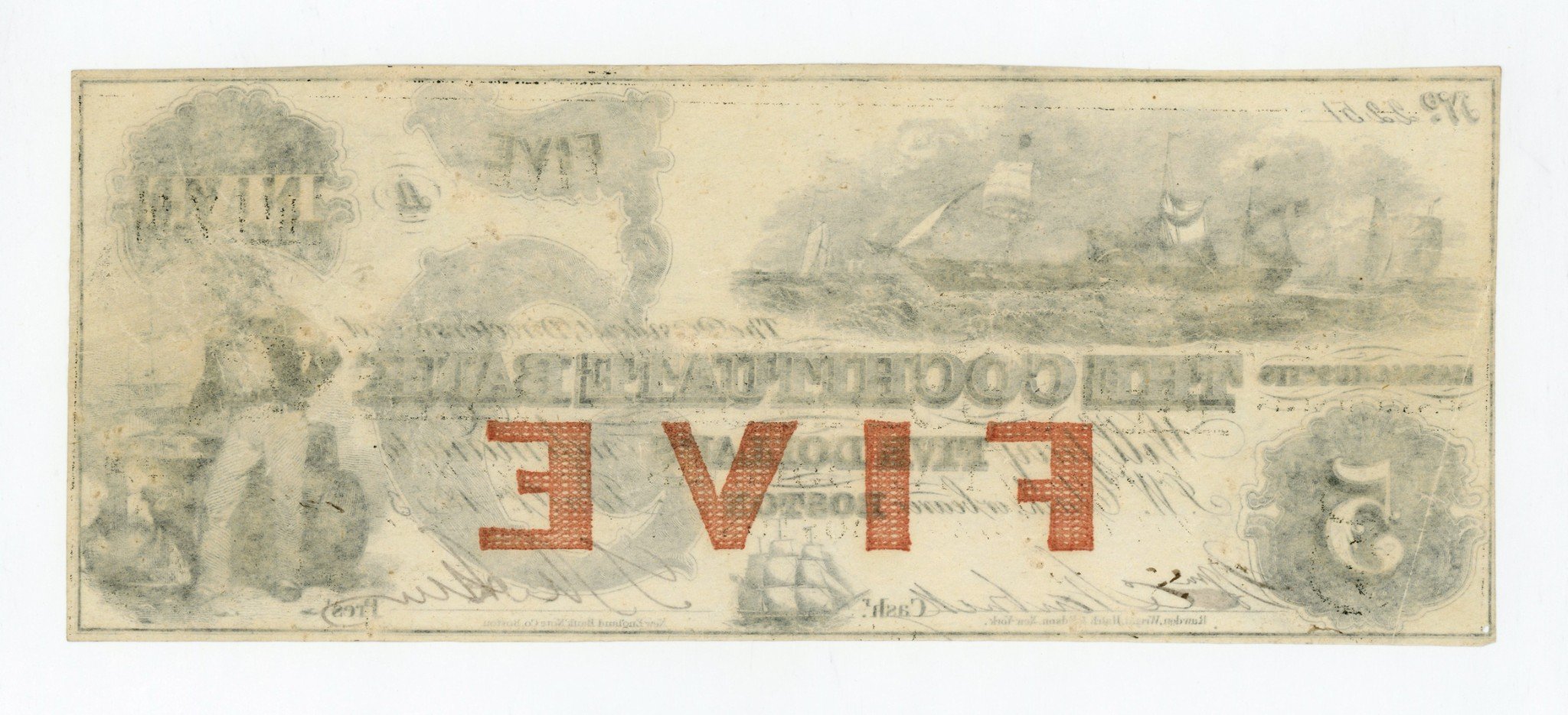 2619b.jpg