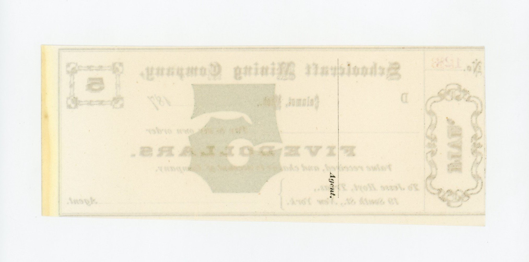 235b.jpg