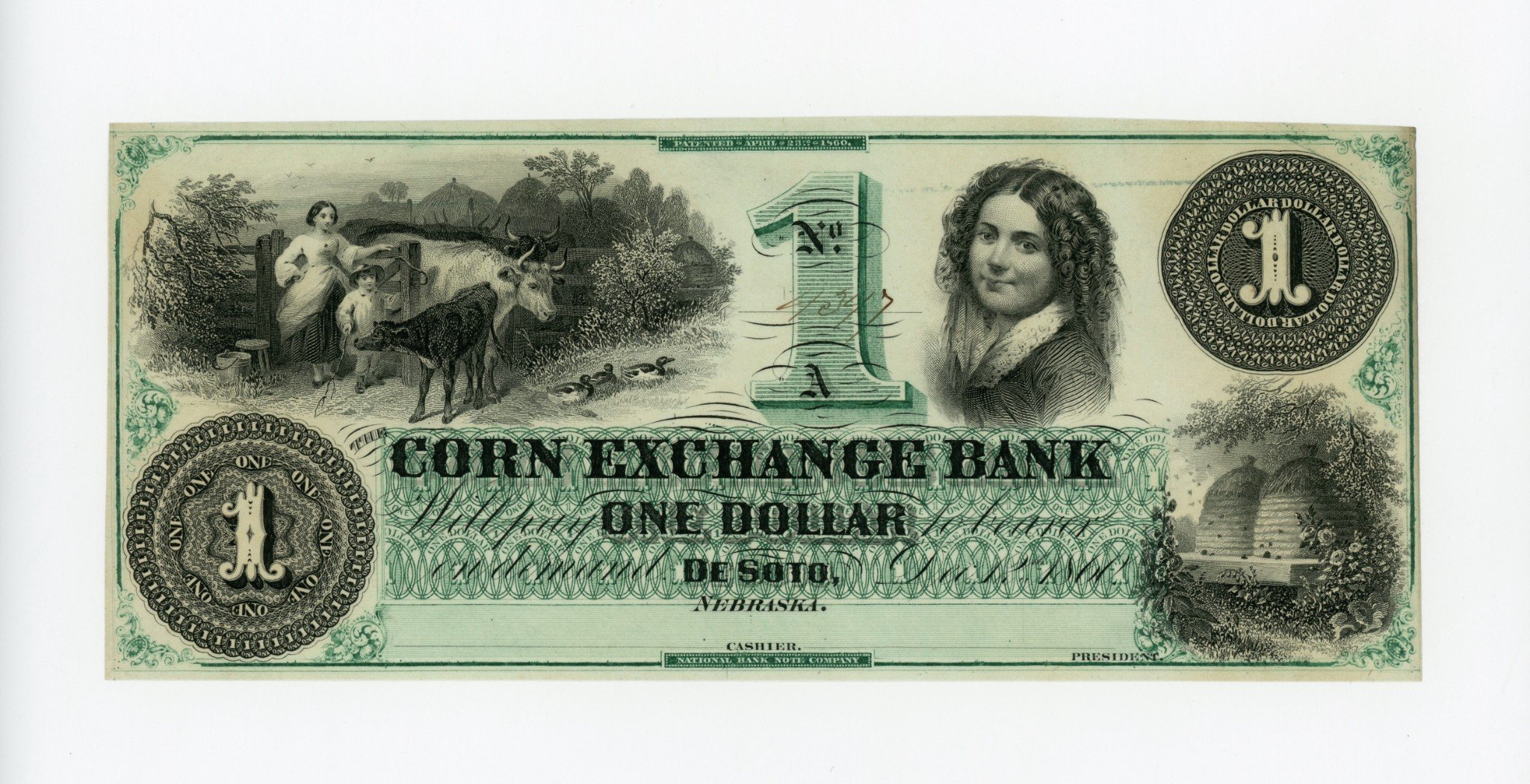 54301a.jpg