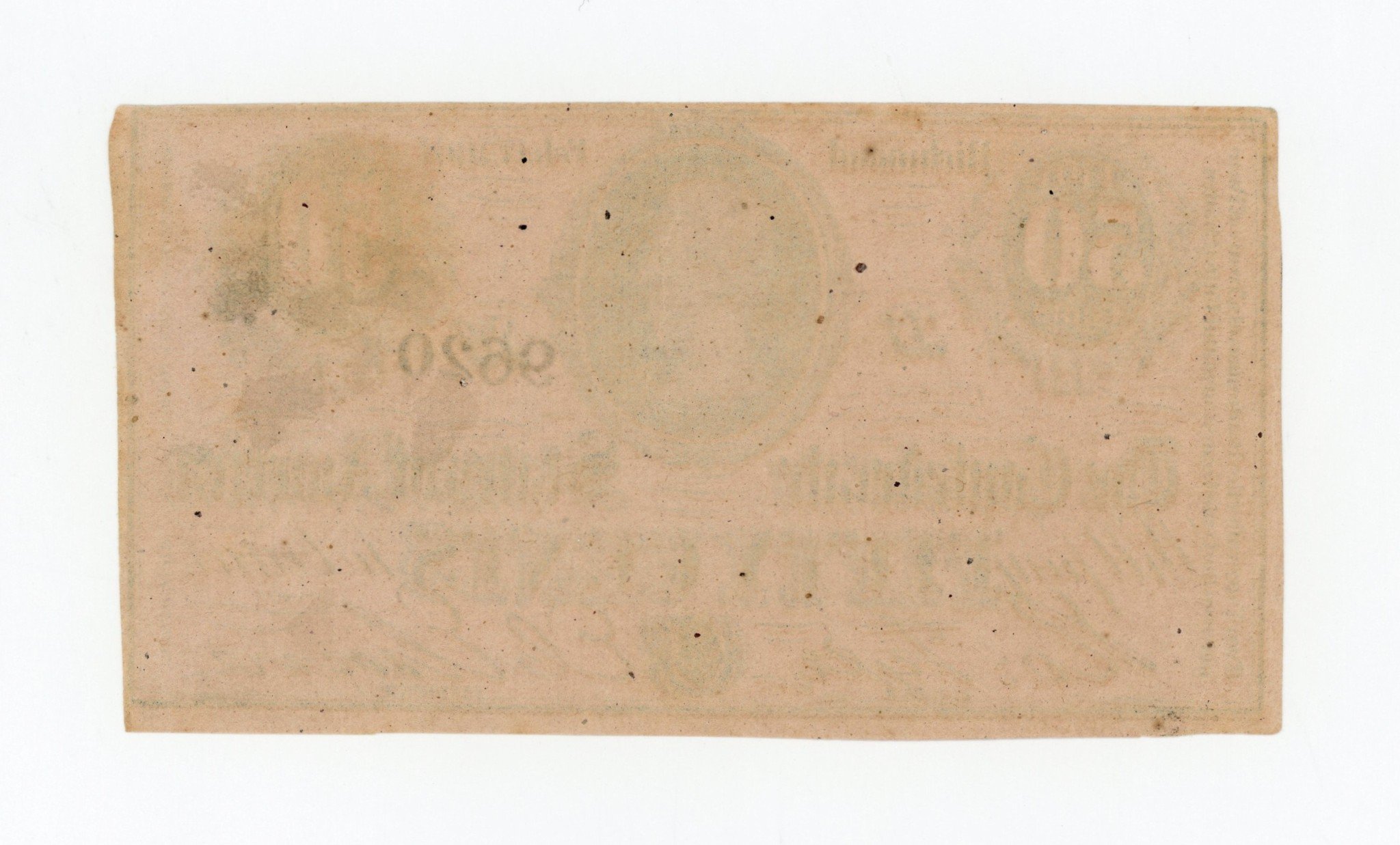 2173b.jpg