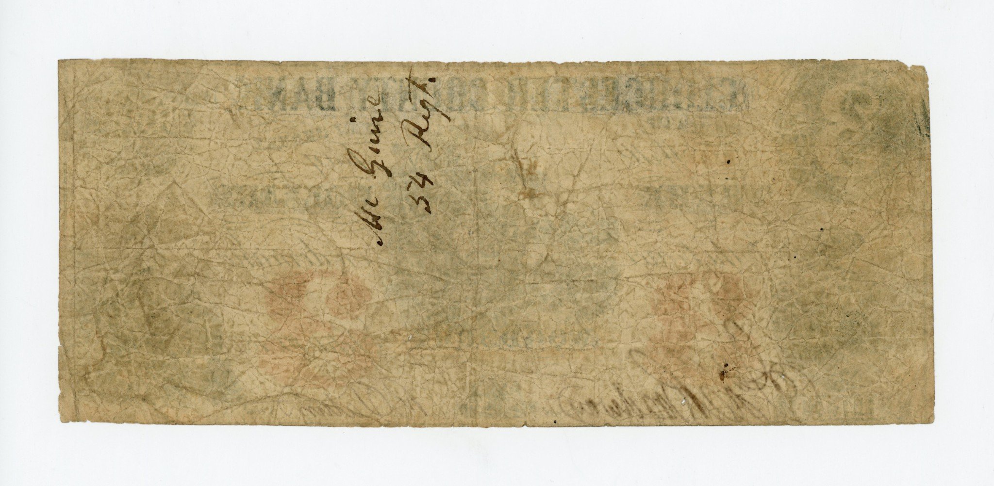 1736b.jpg