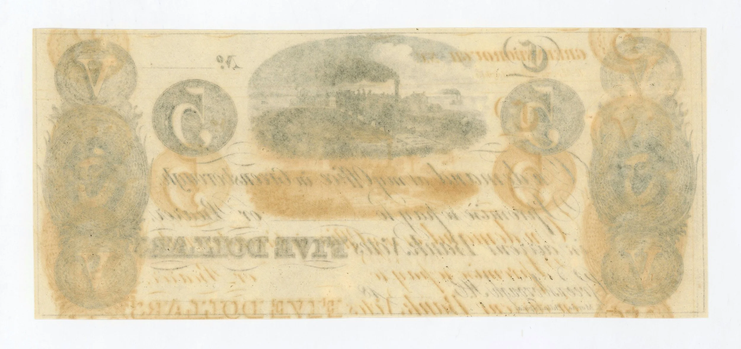 61907b.jpg