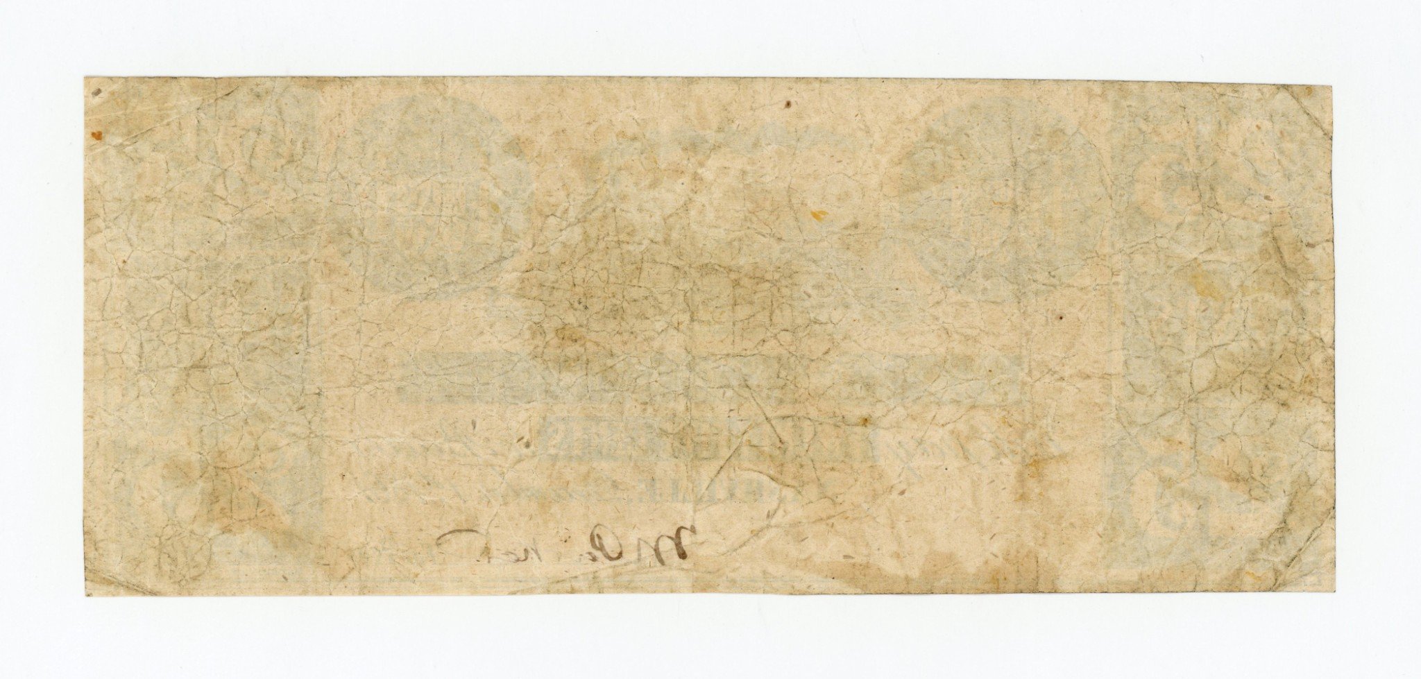 2178b.jpg