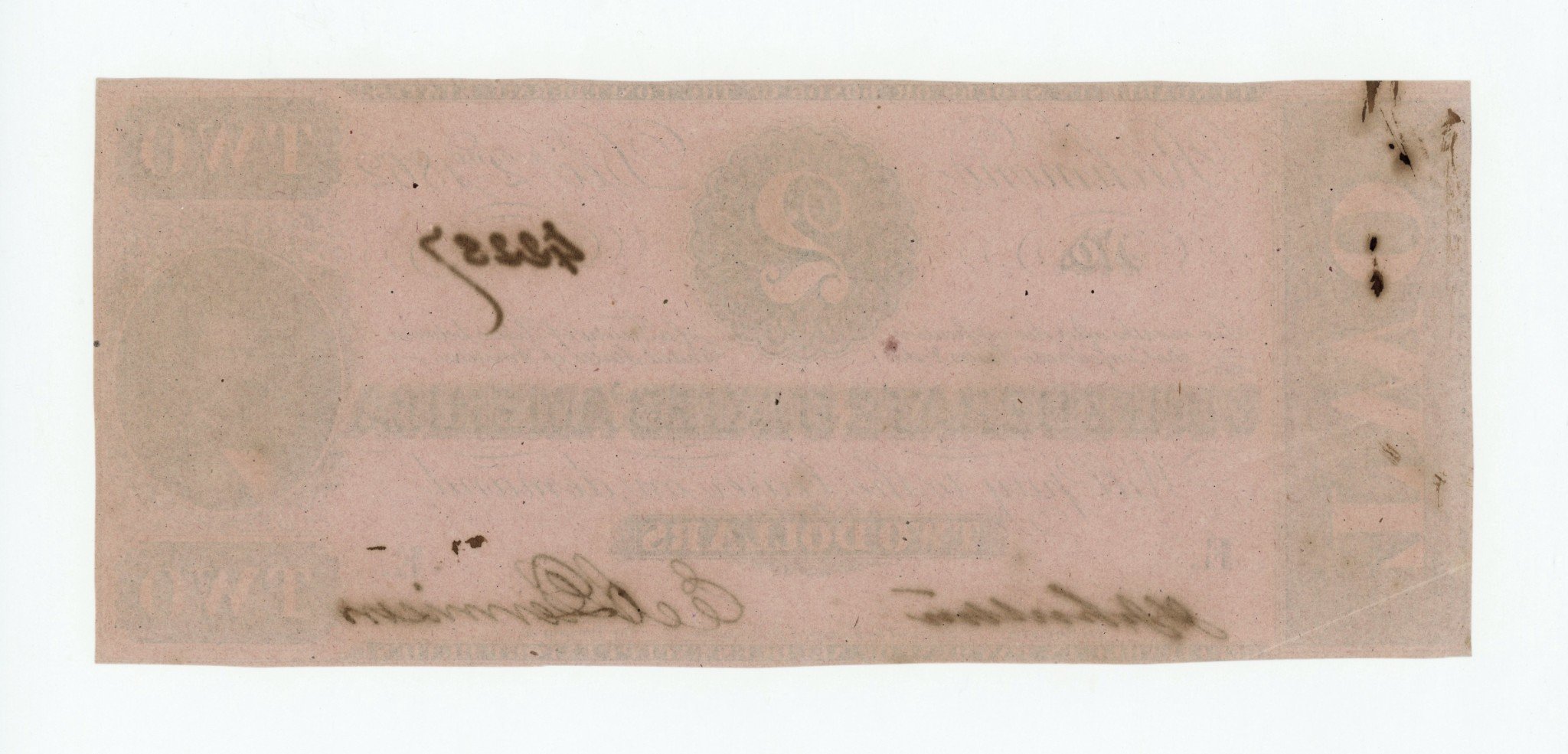 2156b.jpg