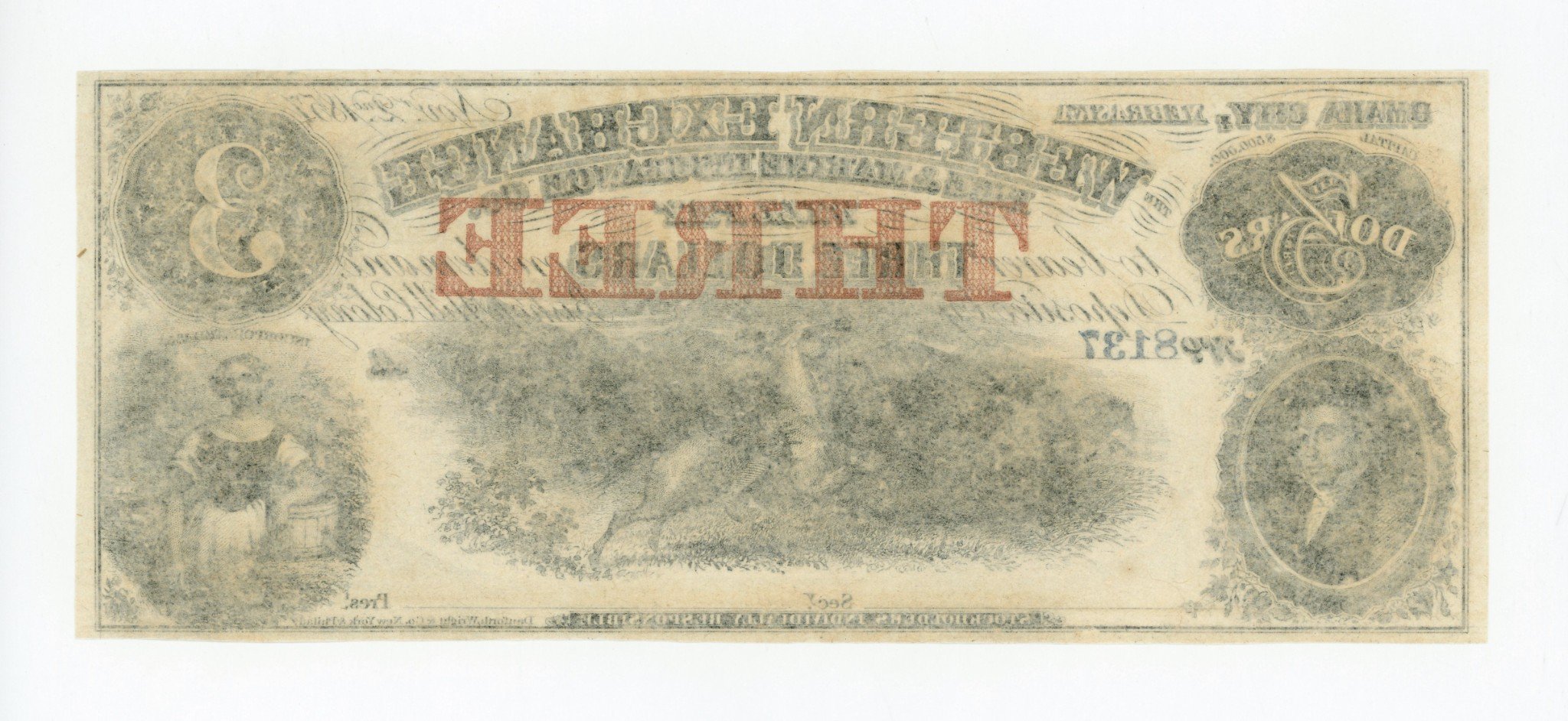 2233b.jpg