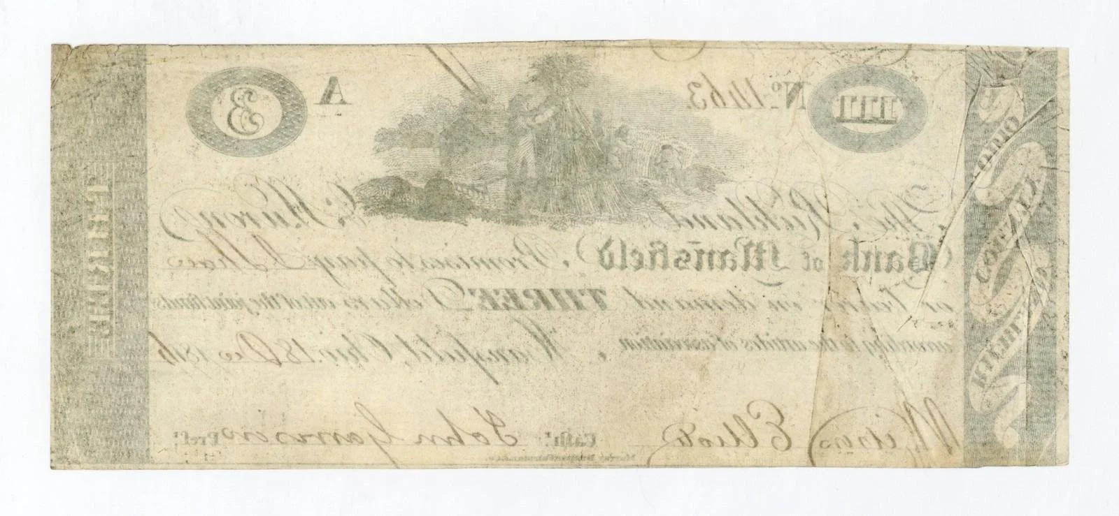 4161b.jpg