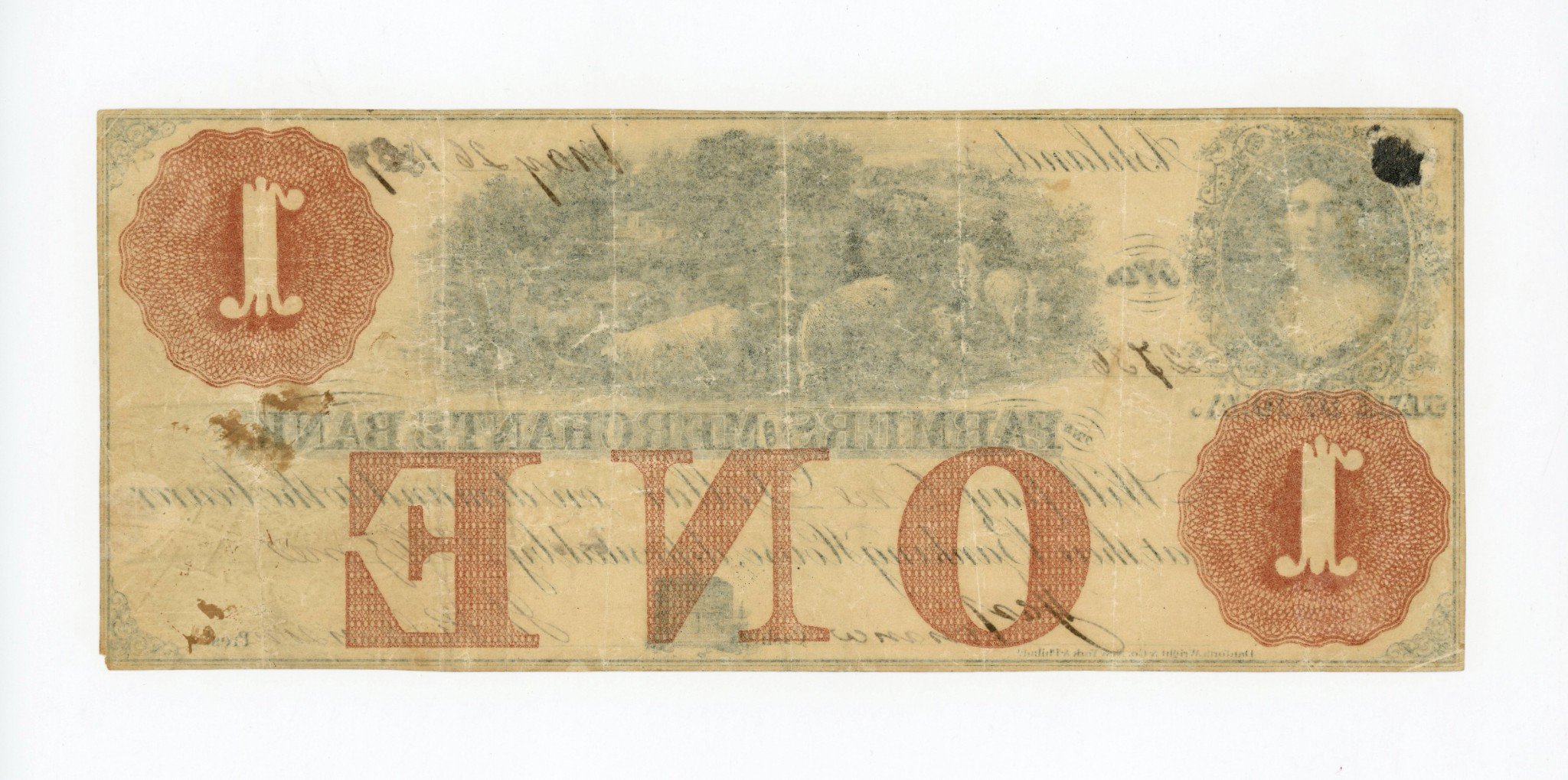 1037b.jpg