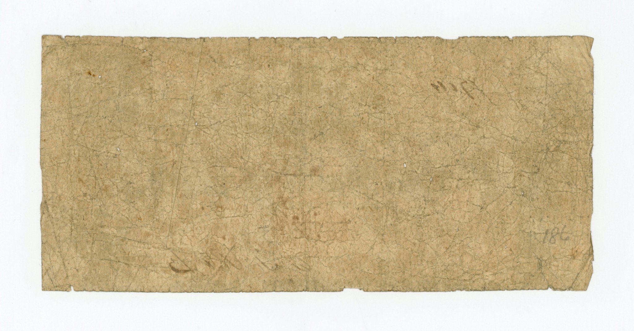 2191b.jpg