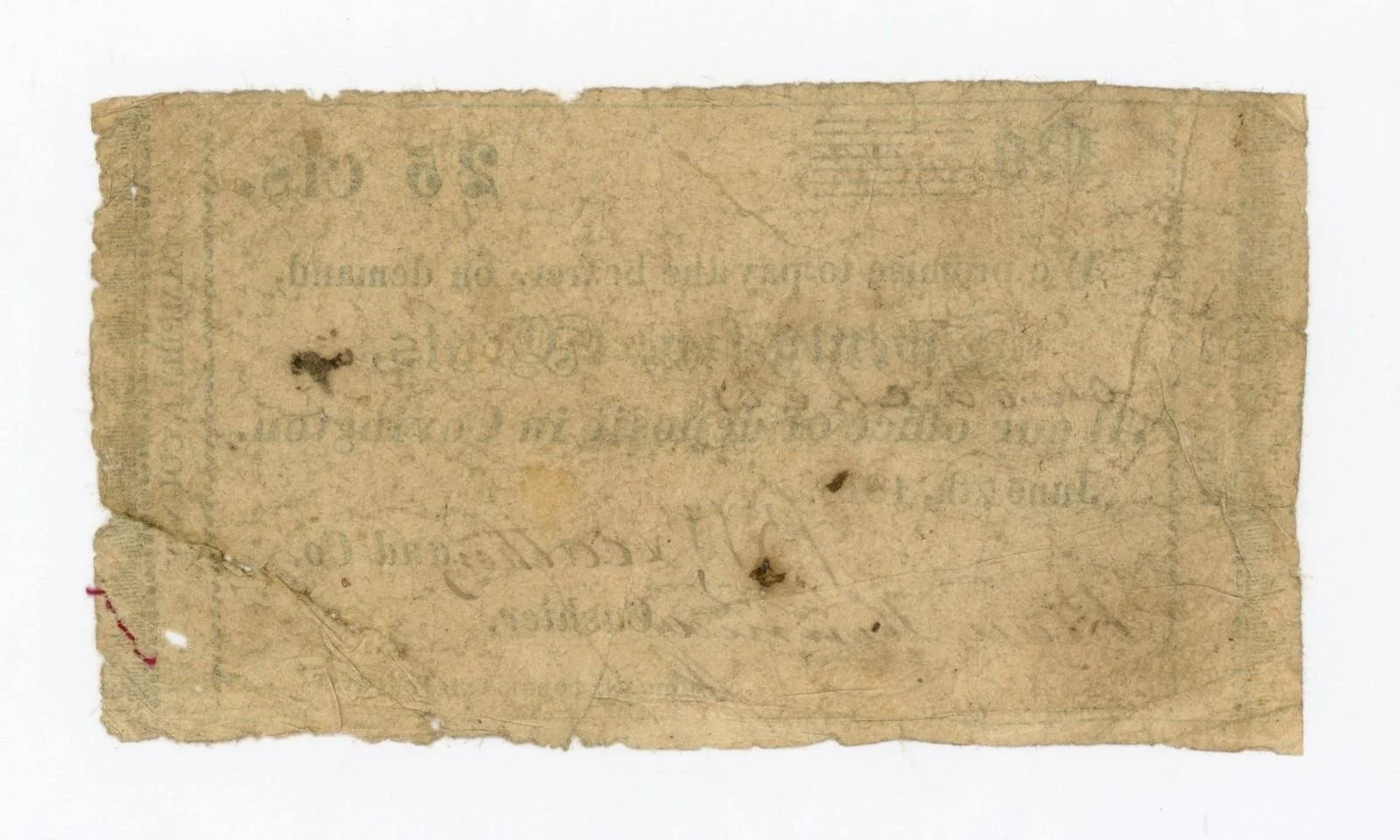 4195b.jpg