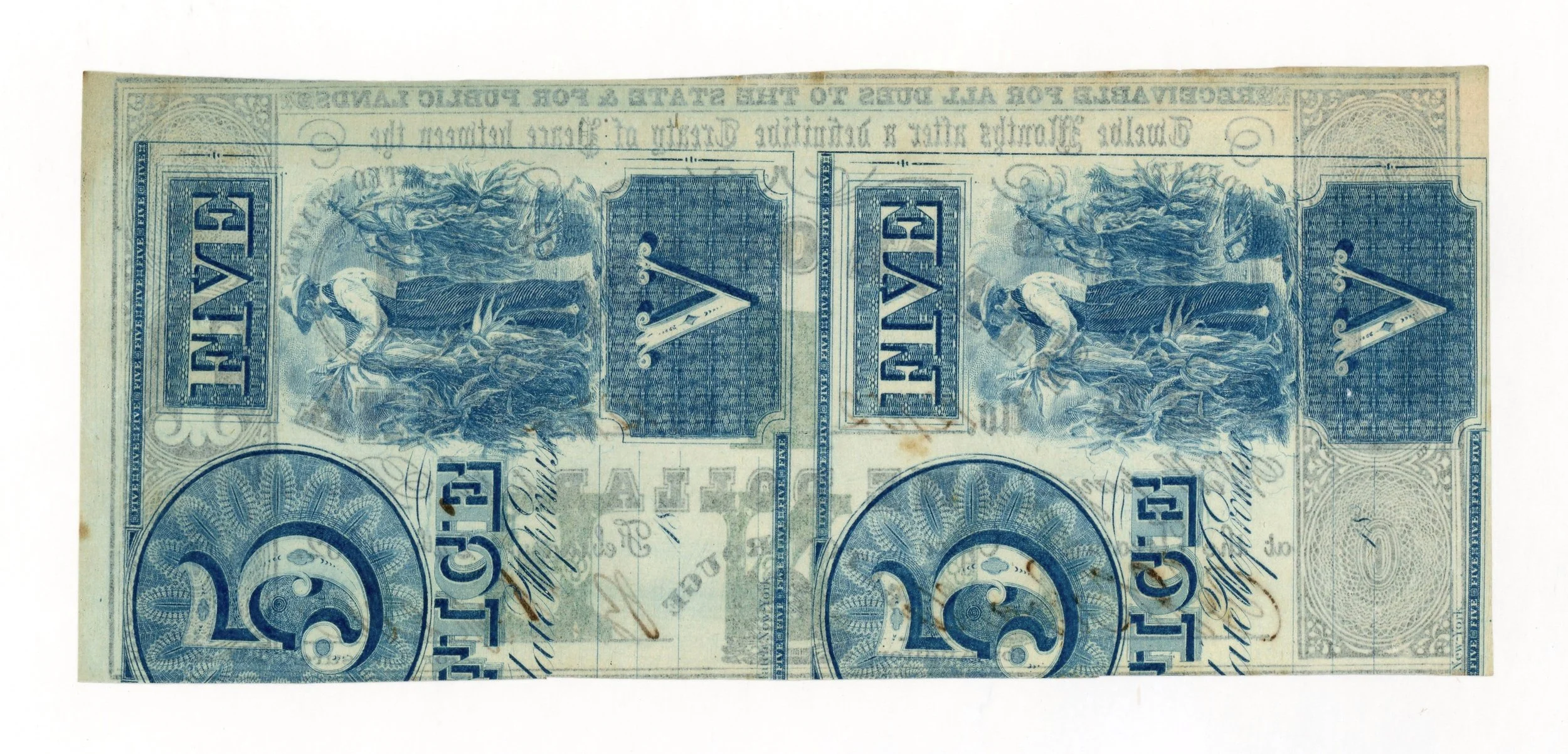 61995b.jpg