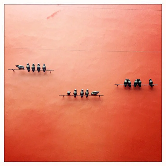 Mi vida es arte - My life is art