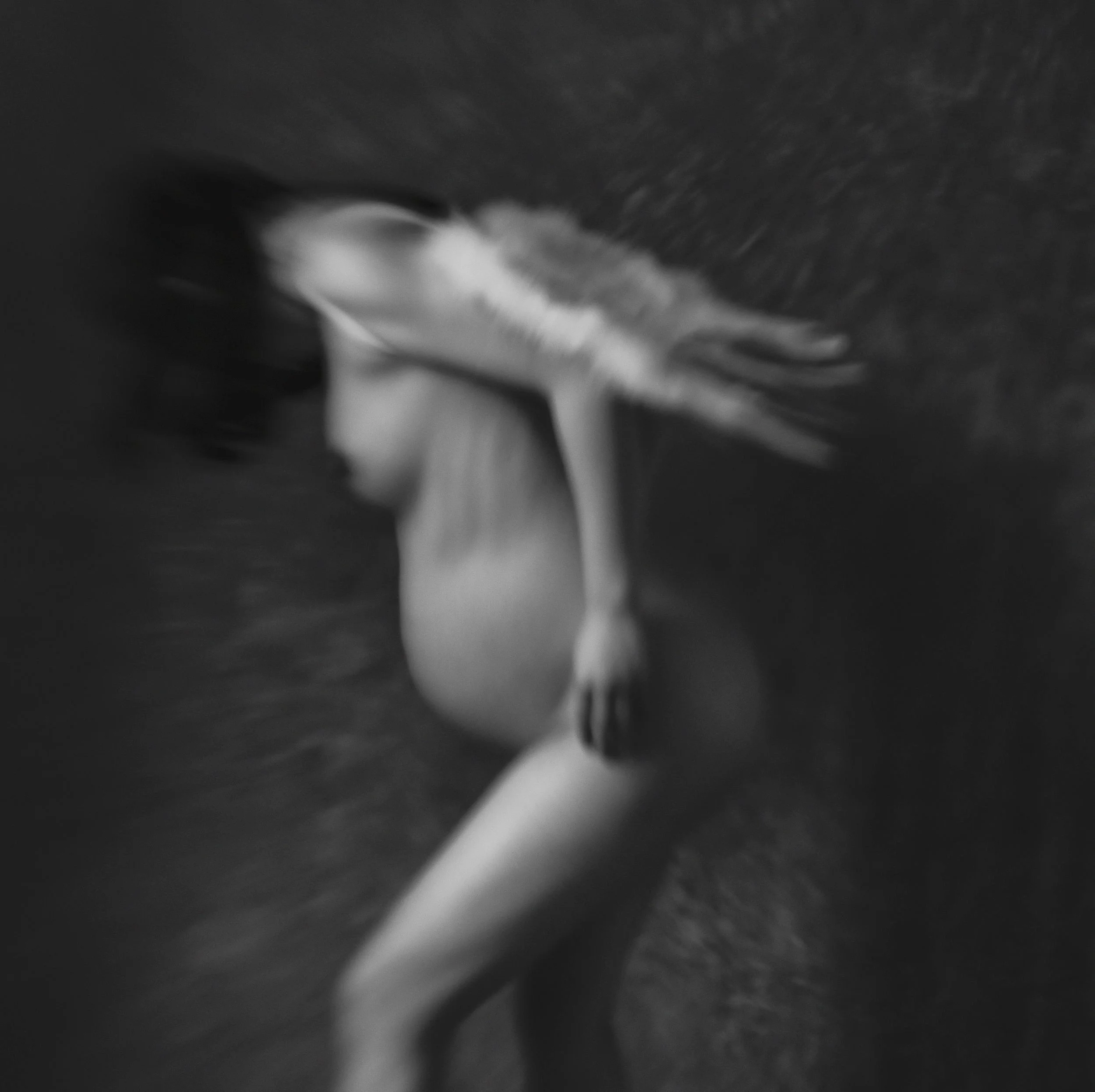 Jennifer Loomis Photography portfolio image 3