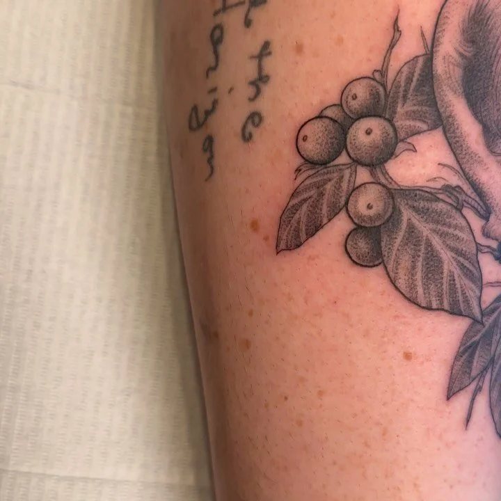 Loved doing this Cedar Waxwing with some splashes of color for Lianne!