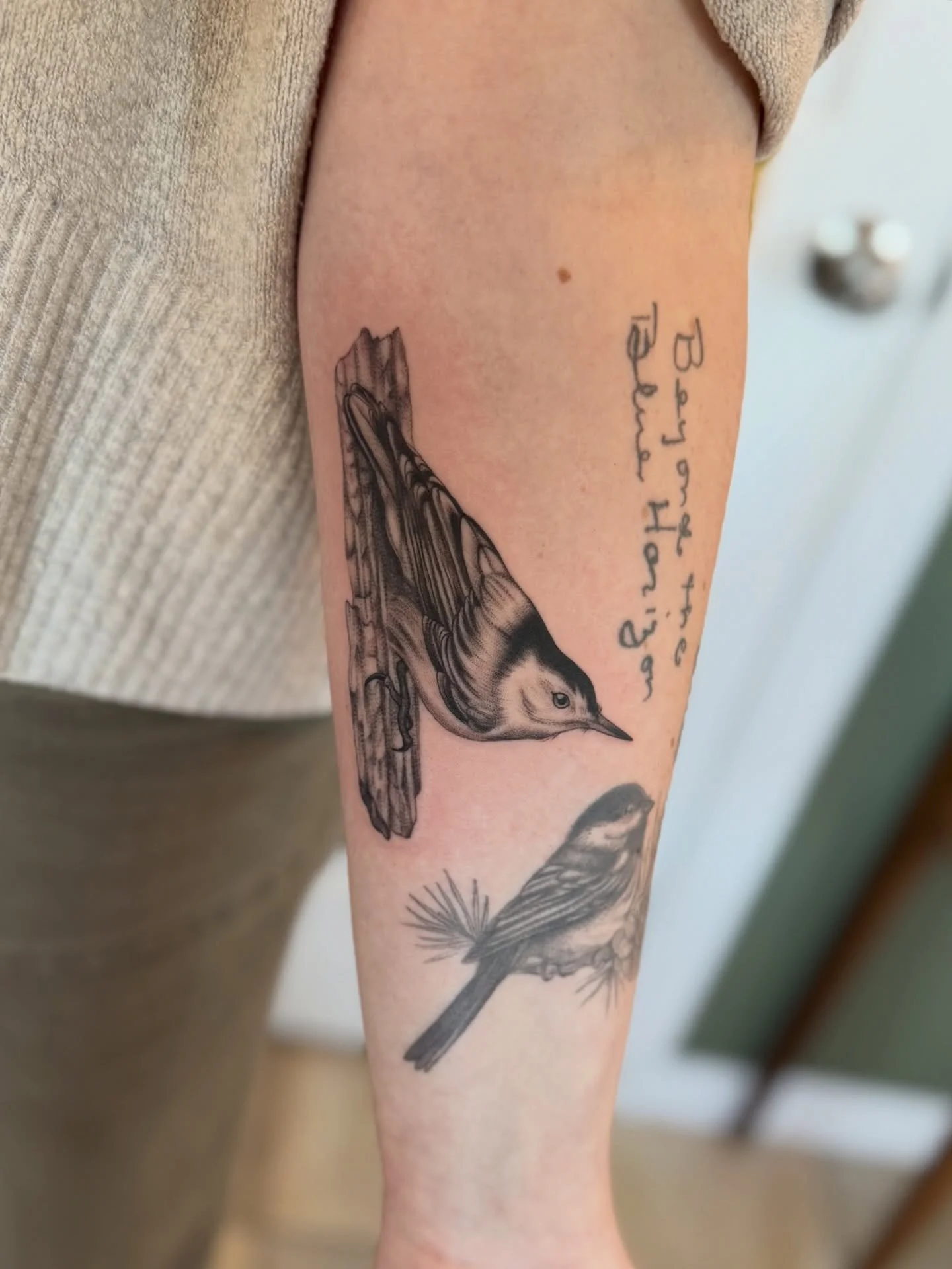 The sun is out today and the birds are singing, so it&rsquo;s very appropriate to share some bird tattoos that I did recently, and some not so recently. My books are opening for early summer next week!