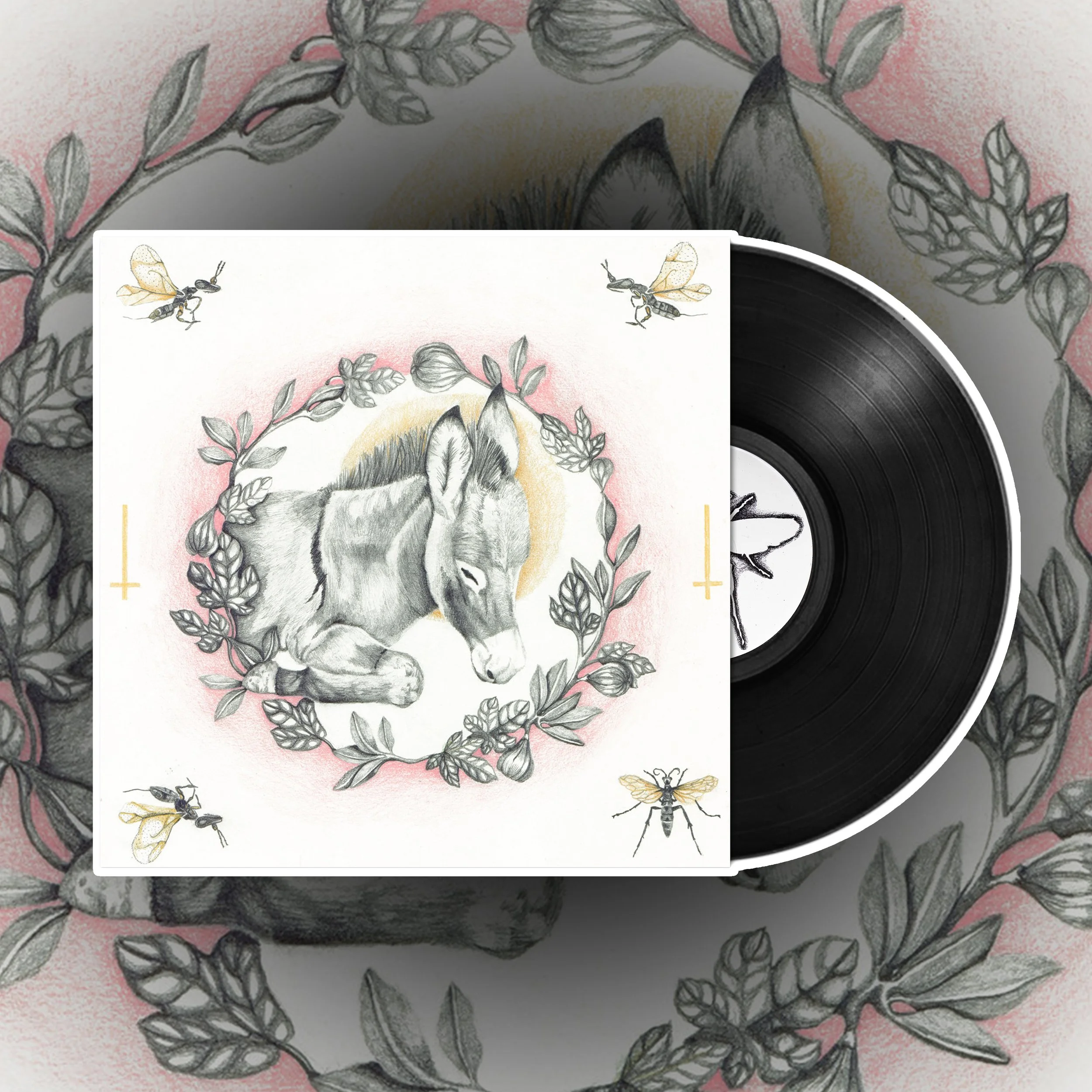 HUMAN BEHAVIOR RECORD BUNDLE 3 Records for 33 — SWEATBAND RECORDS