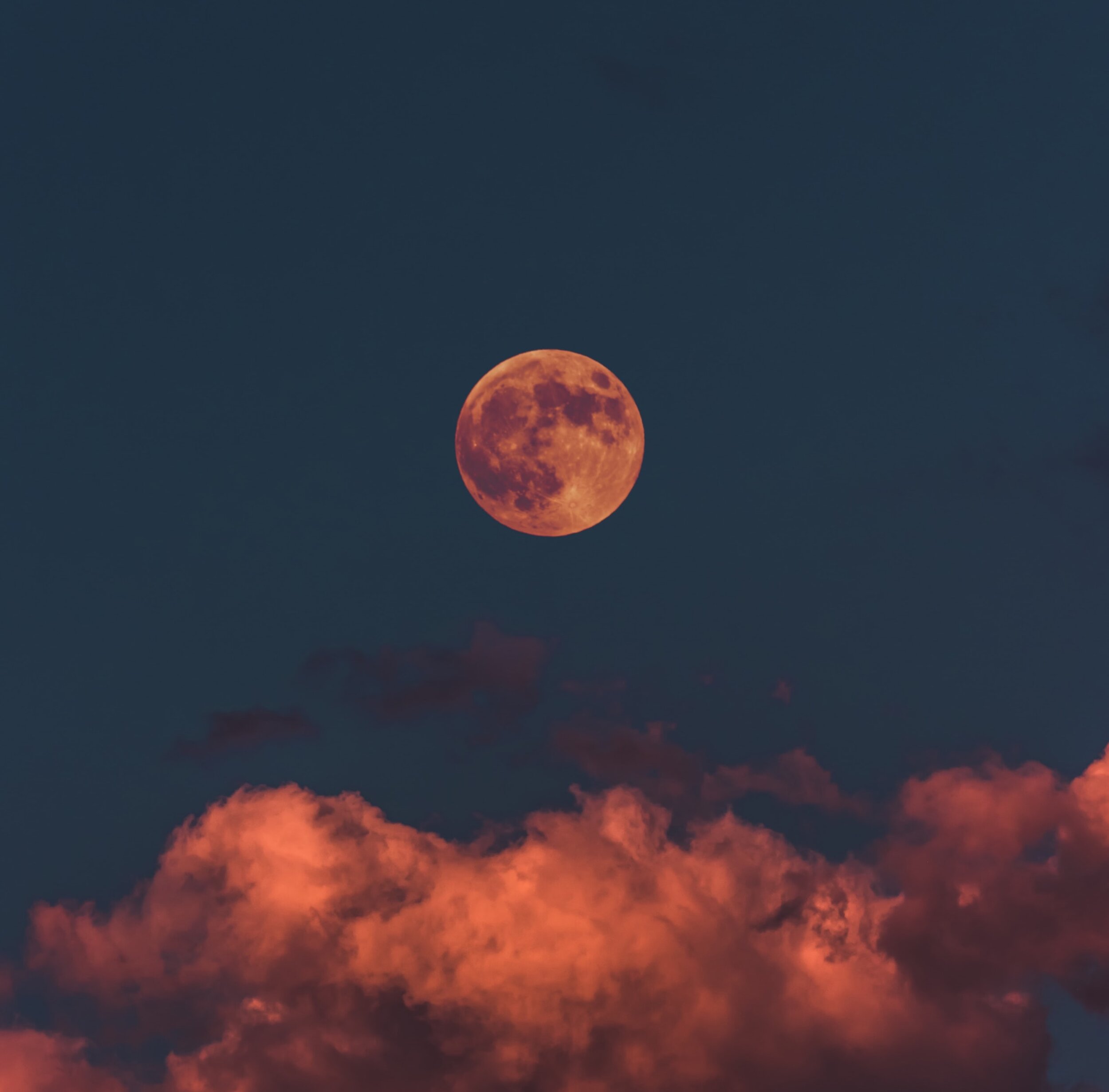 The Full Moon is in Virgo &amp; We're Focused!