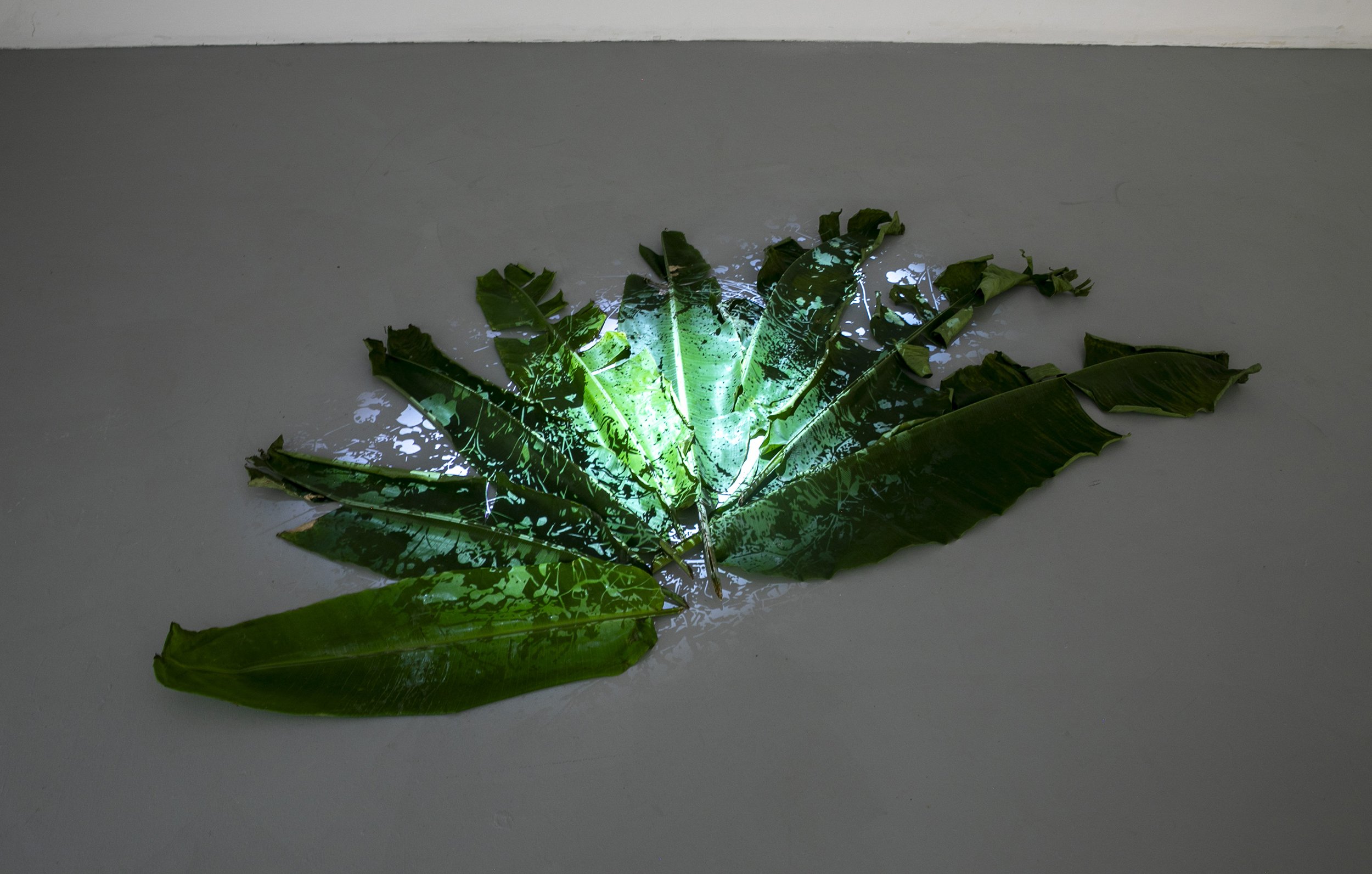 AncestralMemory 5.jpg