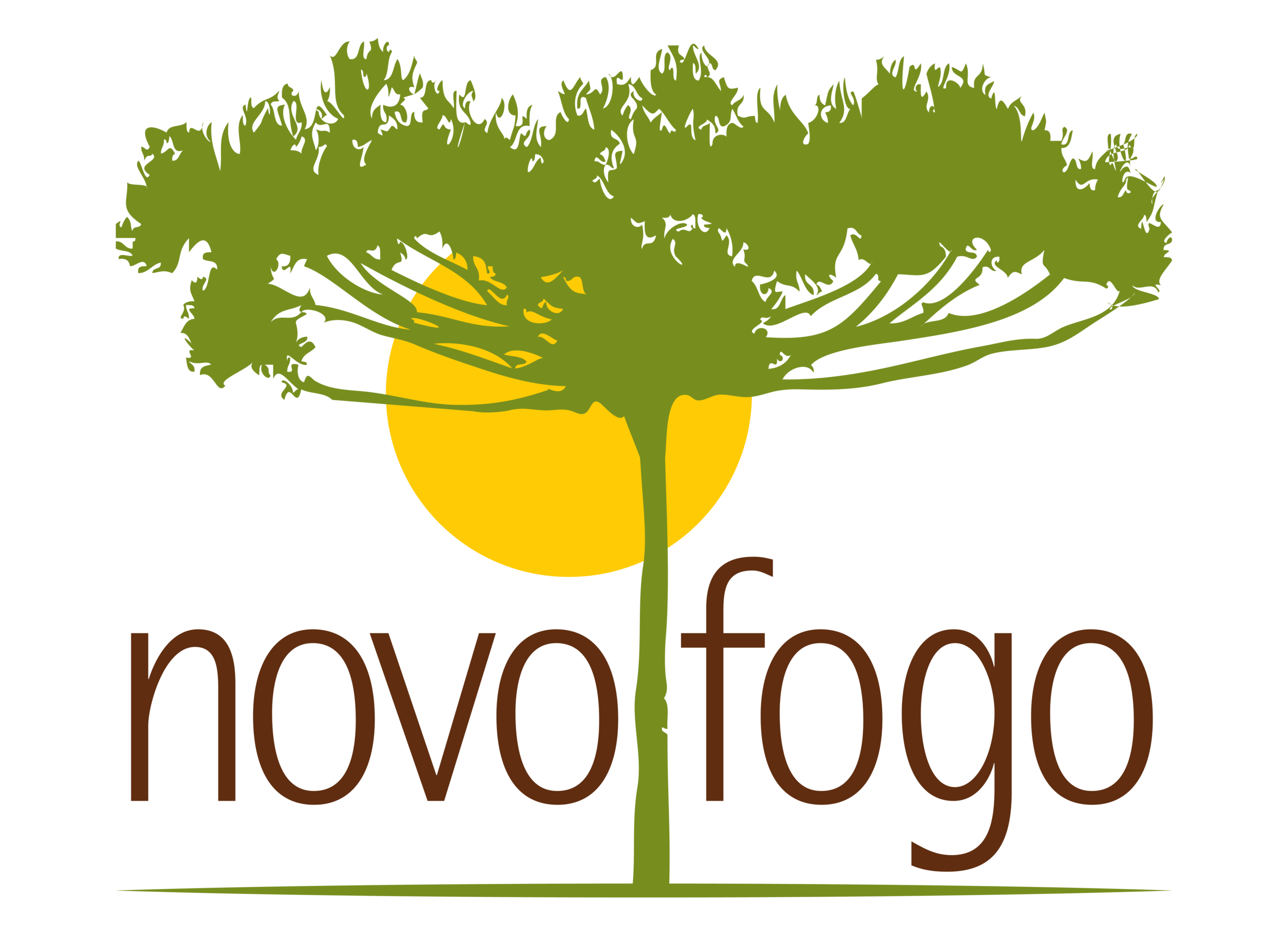Novo Fogo logo - color.png