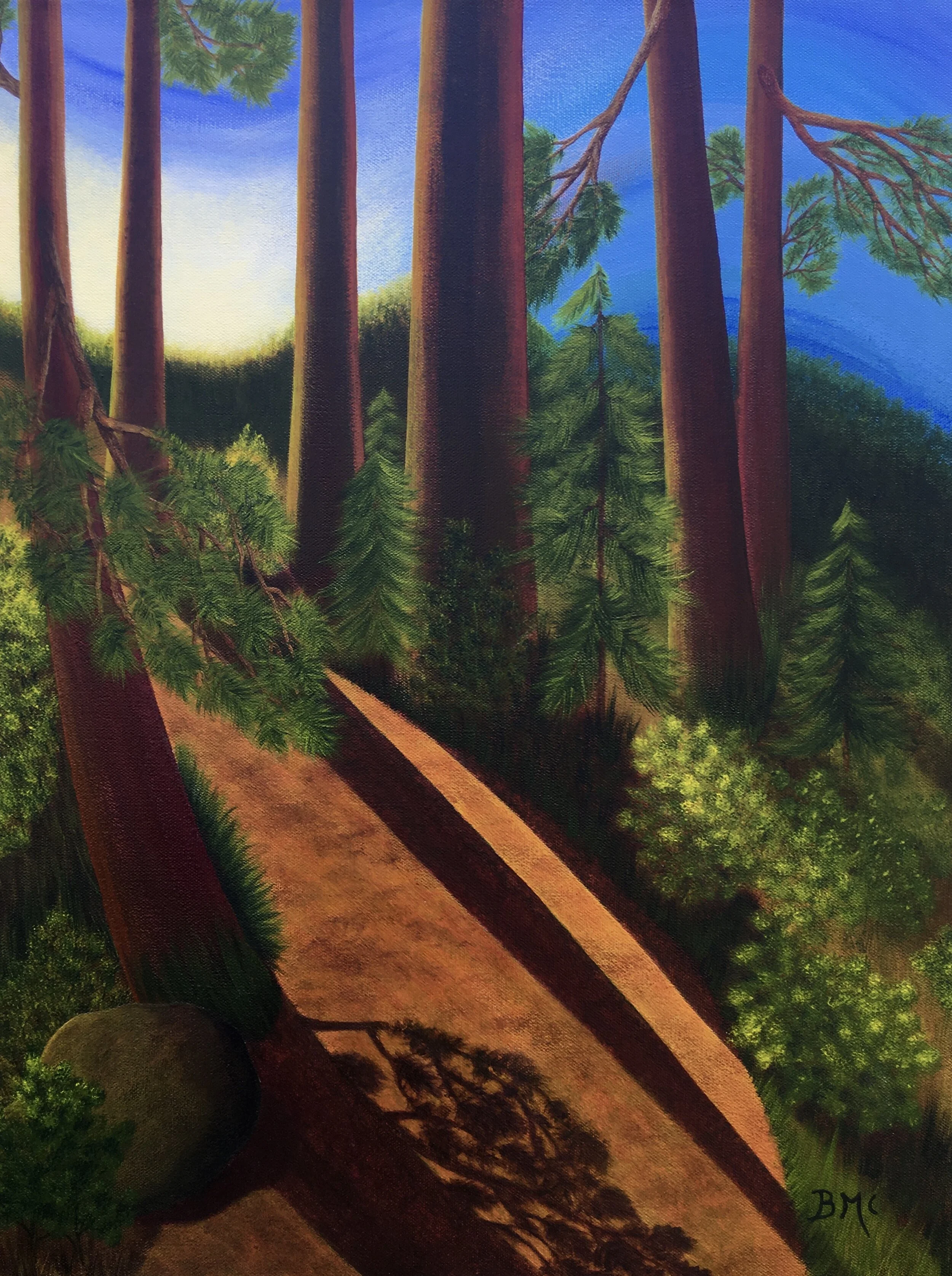 Through Emily's Eyes:  Forest Walk