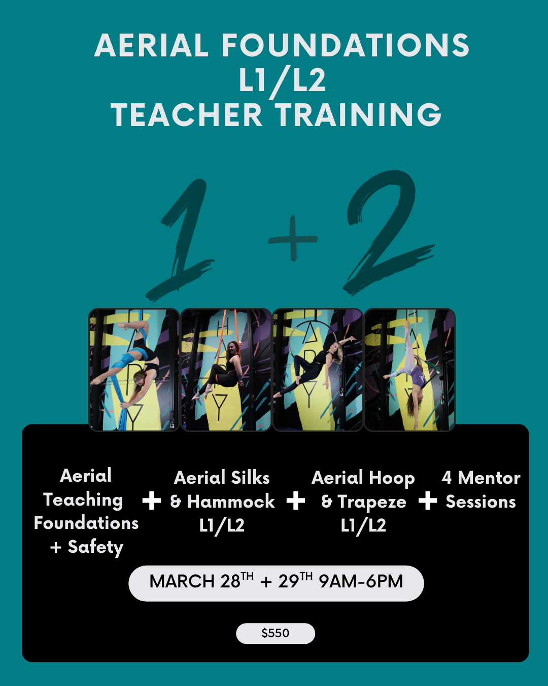 Teacher Training - Aerial Foundations in Silks, Hoop, Trapeze, Hammock