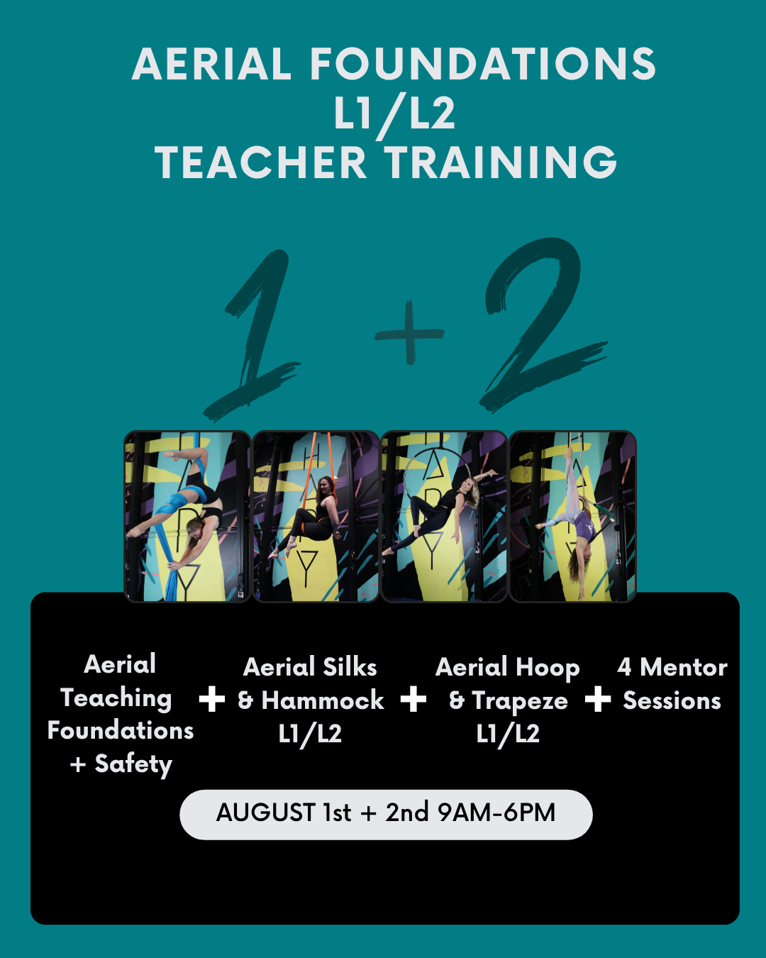 Aerial Foundations - Teacher Training