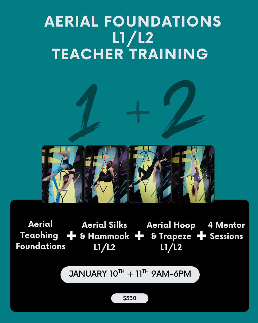 Aerial Wisdom Teacher Training - Foundations Level 1 &amp; Level 2