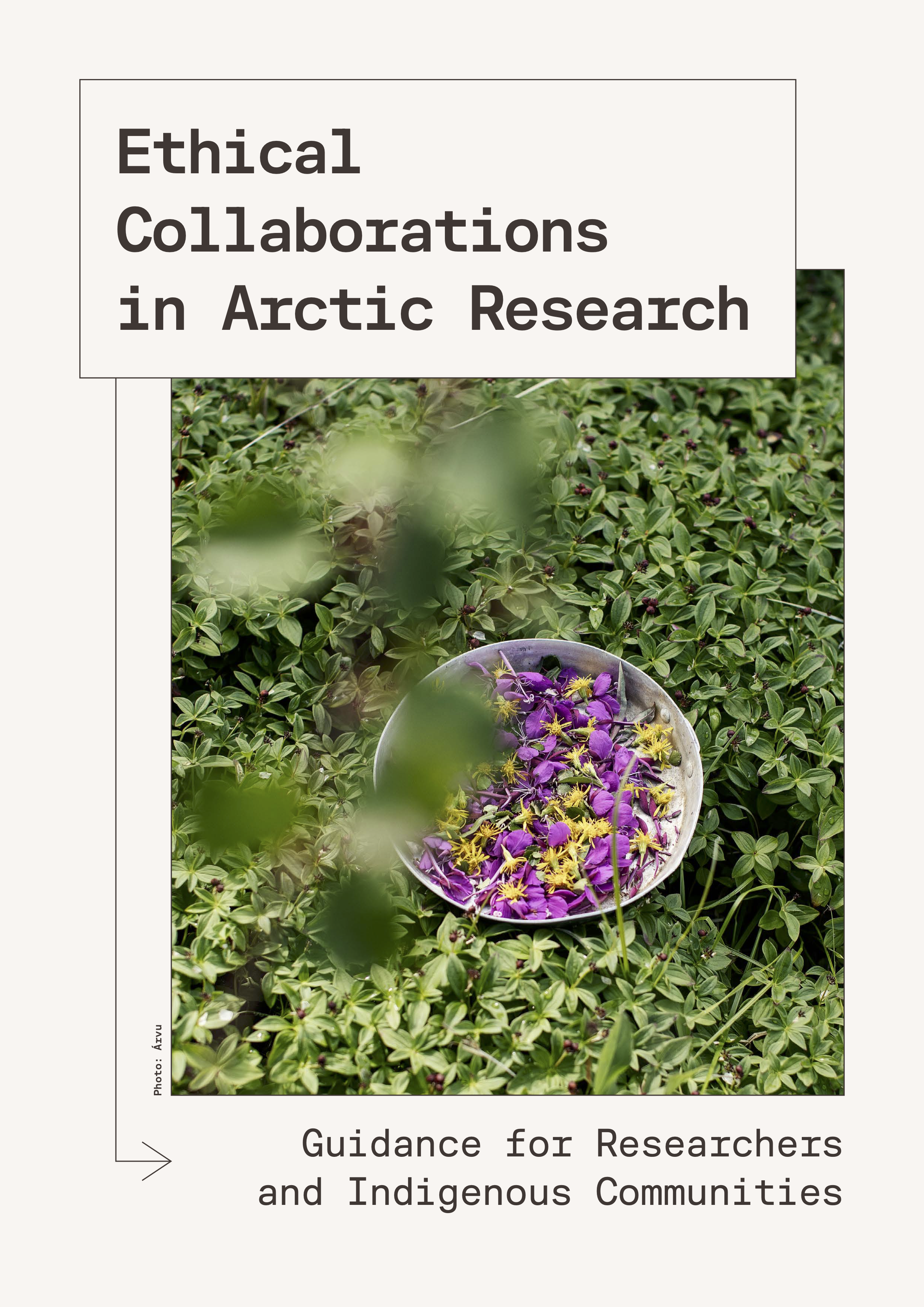 Guidance Document on Ethical Collaborations in Arctic Research