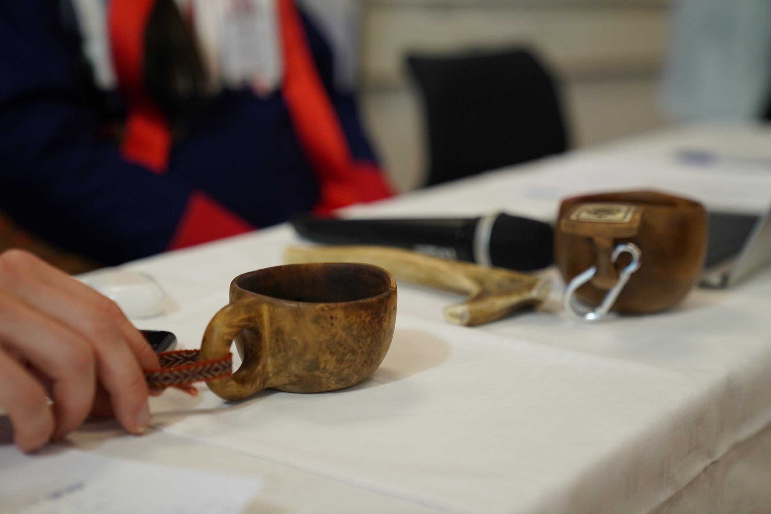 ReCap ASáp Gurssa / Course