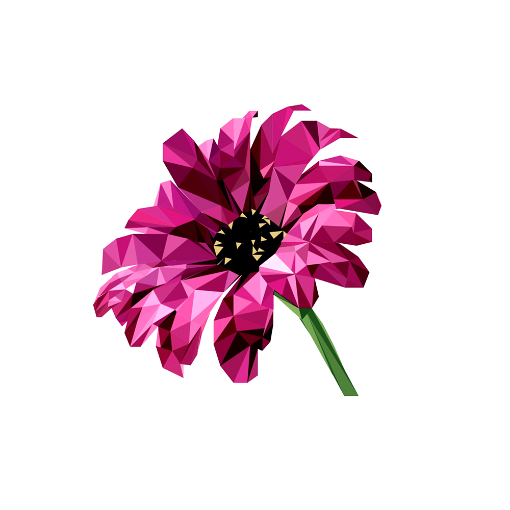 #5.png