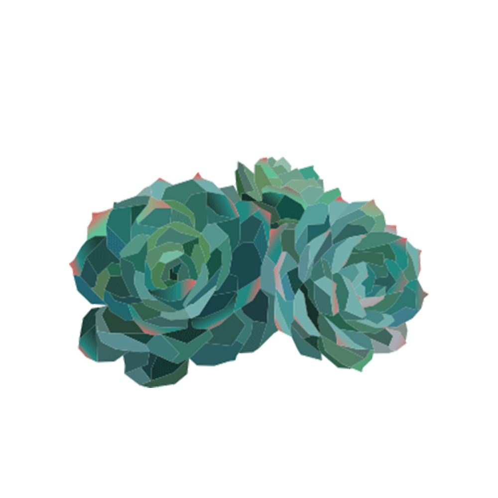 #10.png