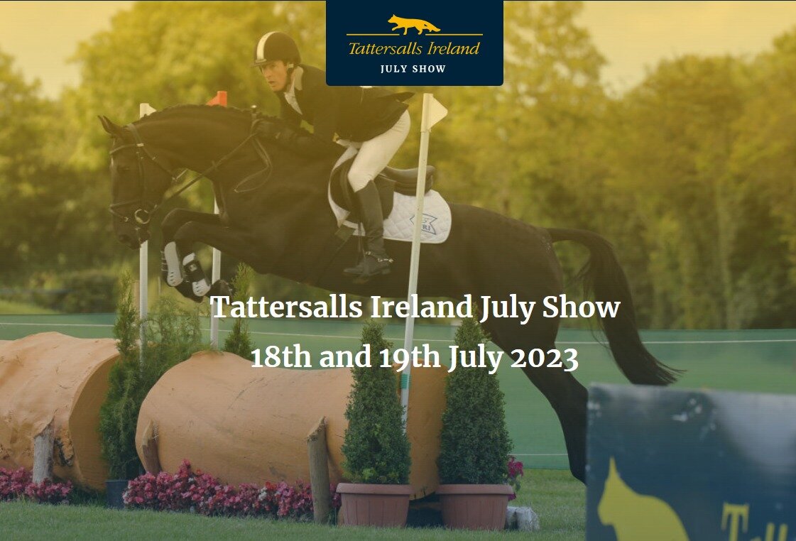 Overlander is delighted to be supporting the Tattersalls Ireland July Show which takes place today and tomorrow, Wed 19th July. The R240 will be on site on both days for you to explore. 
The show is held in association with the Rolestown Show and War