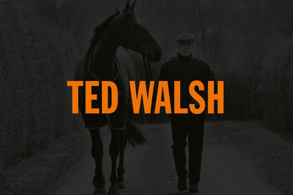 Ambassador-Ted-Walsh.jpg