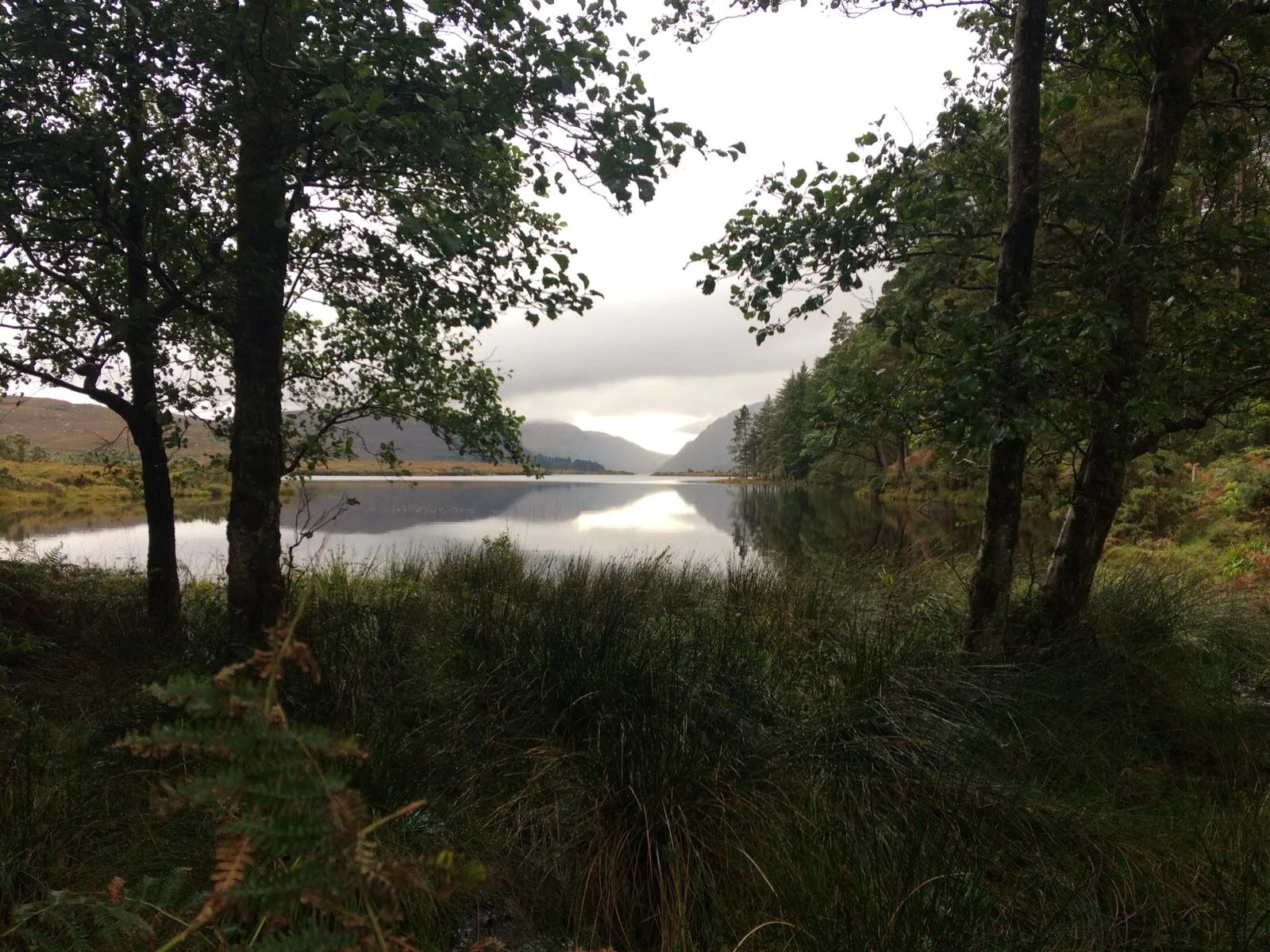 3ebacfe8-ee7c-4bab-acf9-4d4c746cf408 2.JPG