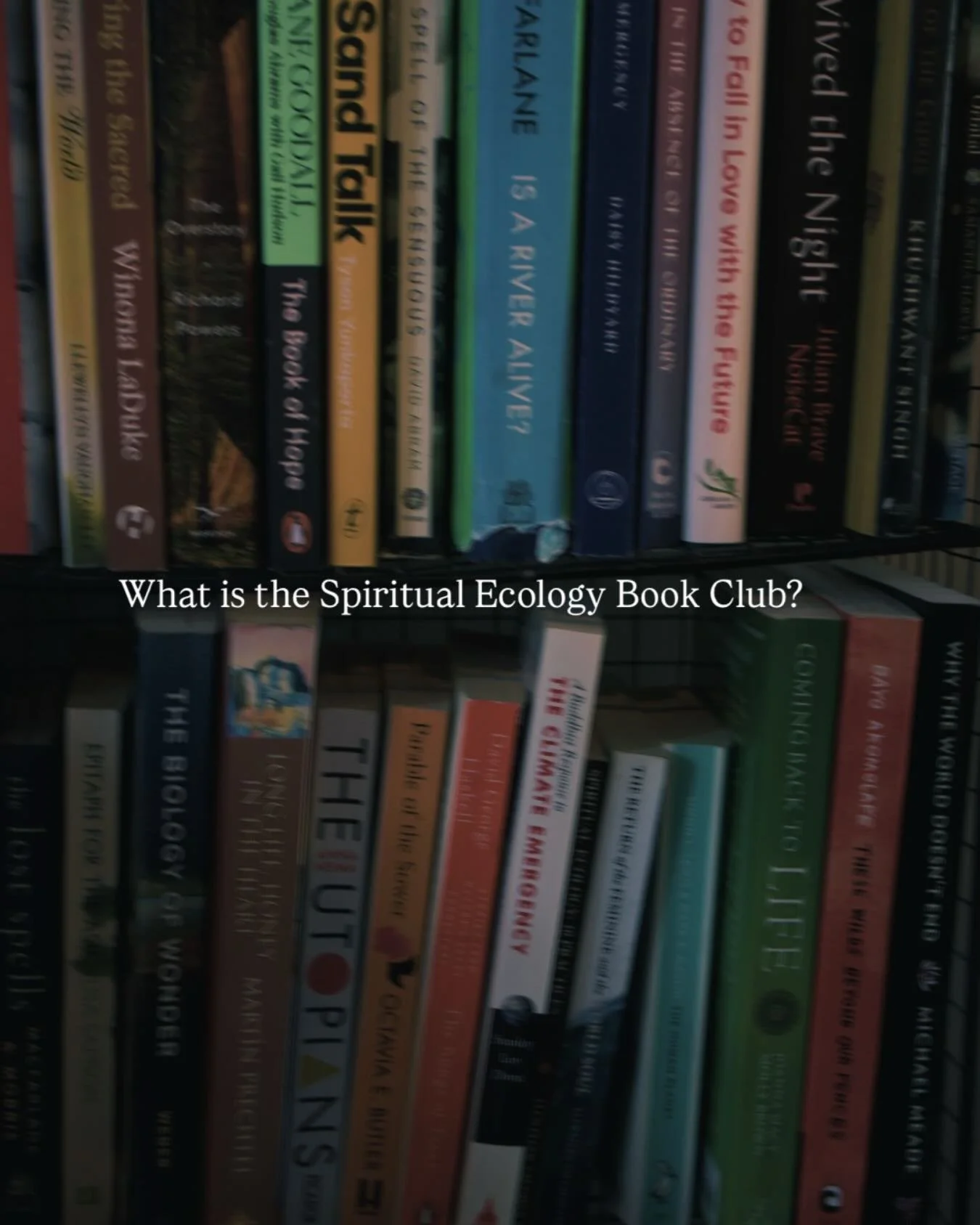 &rdquo;One of the many highlights of 2025 was joining Amrita&rsquo;s book club&rdquo; &mdash; Rosie Gaunt

The Spiritual Ecology Book Club is a monthly online reading group that focuses on books related to ecology, culture, and spirituality.

The Clu
