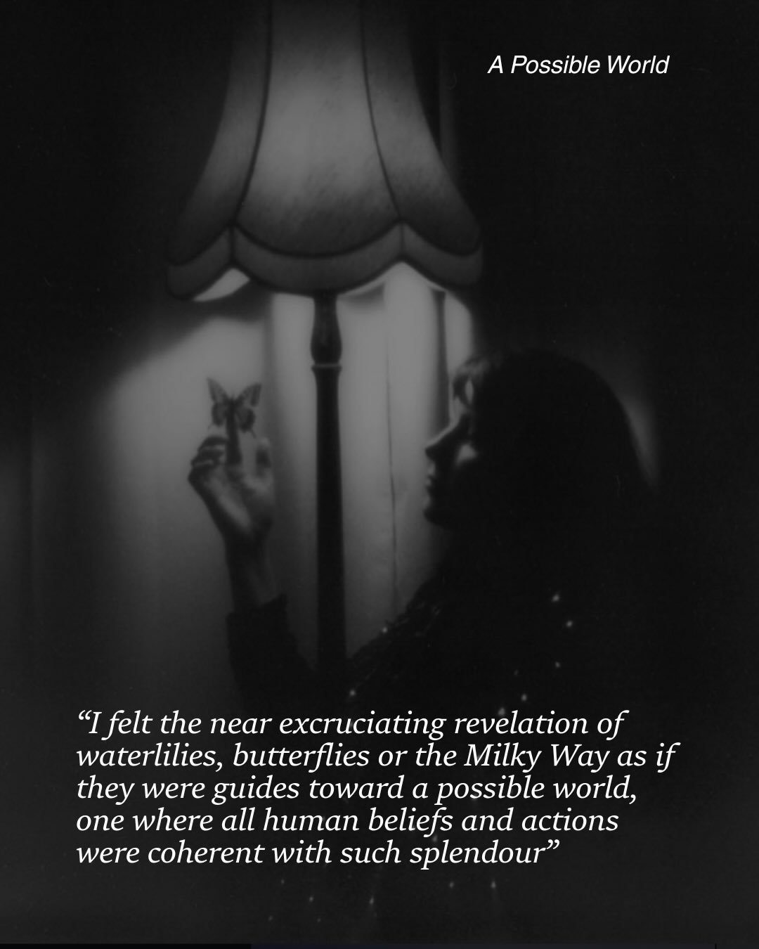 This quote is from one of my favourite short essays, &lsquo;Wild Imagination&rsquo; by writer and teacher Geneen Marie Haugan. 

It delves into the power and potential of the human imagination, and its relationship with the greater psyche of the worl