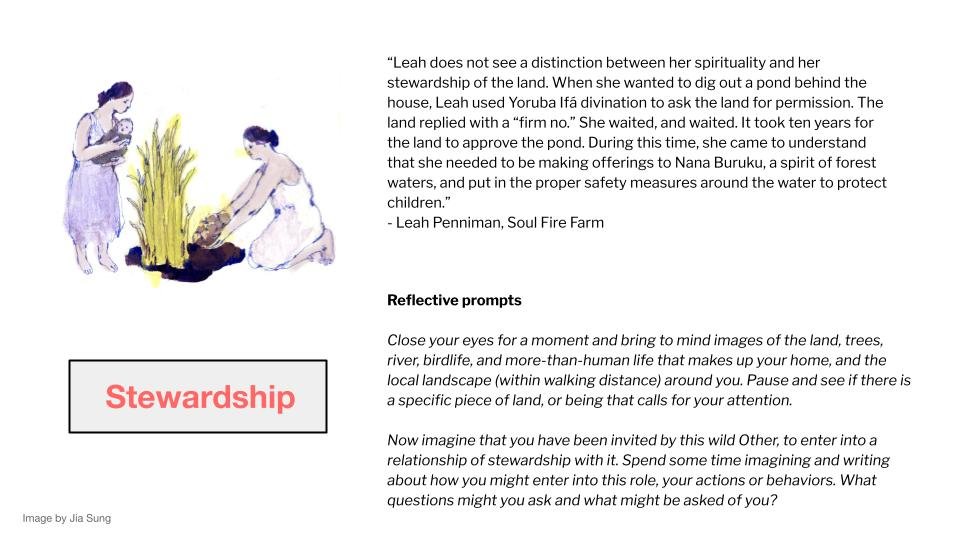 Principles of spiritual ecology-3.jpg