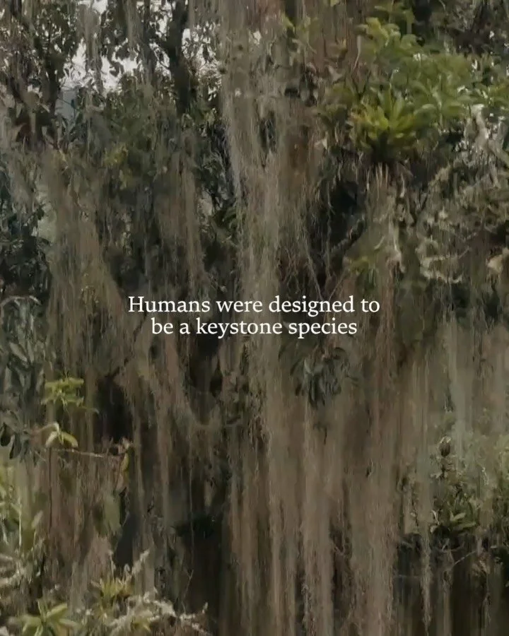 - Our true nature 

@lylajune