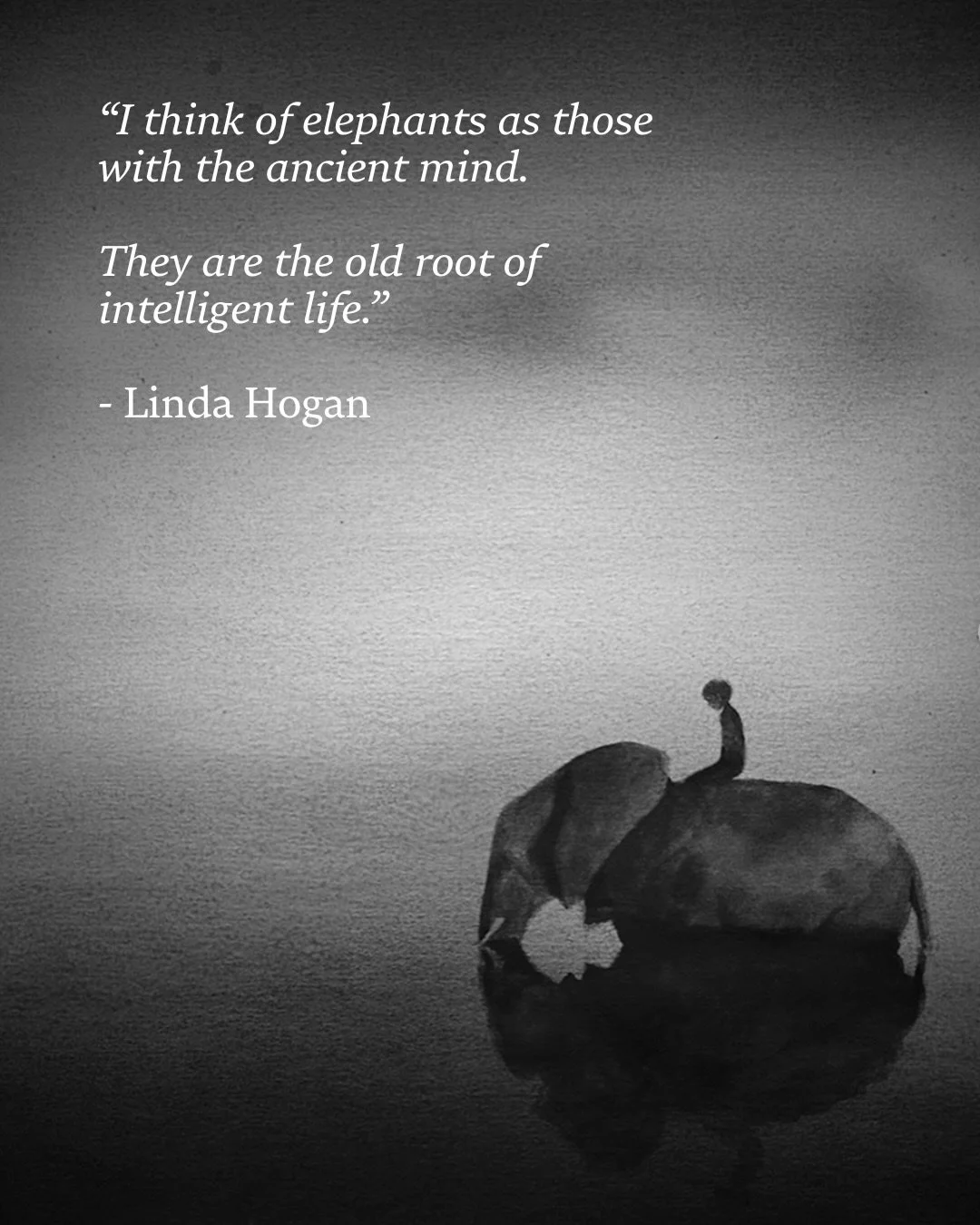 We are all lives in other skins, furs, feathers, or scales, each with different visions and dreams and histories, different kinds of Earth intelligence, all of it making for one great whole. 
- Linda Hogan, Ancient Root

Art by @eliciaedijanto