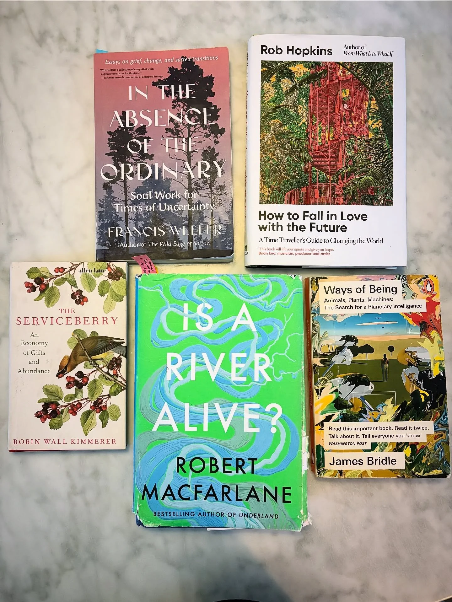 5 months of the Spiritual Ecology Book Club 📚🕯️🌌
It&rsquo;s been a wild and wondrous journey, thank you to all who have joined the reads, attended meetings, and supported. I cherish the little community that&rsquo;s emerged, and look forward to mo