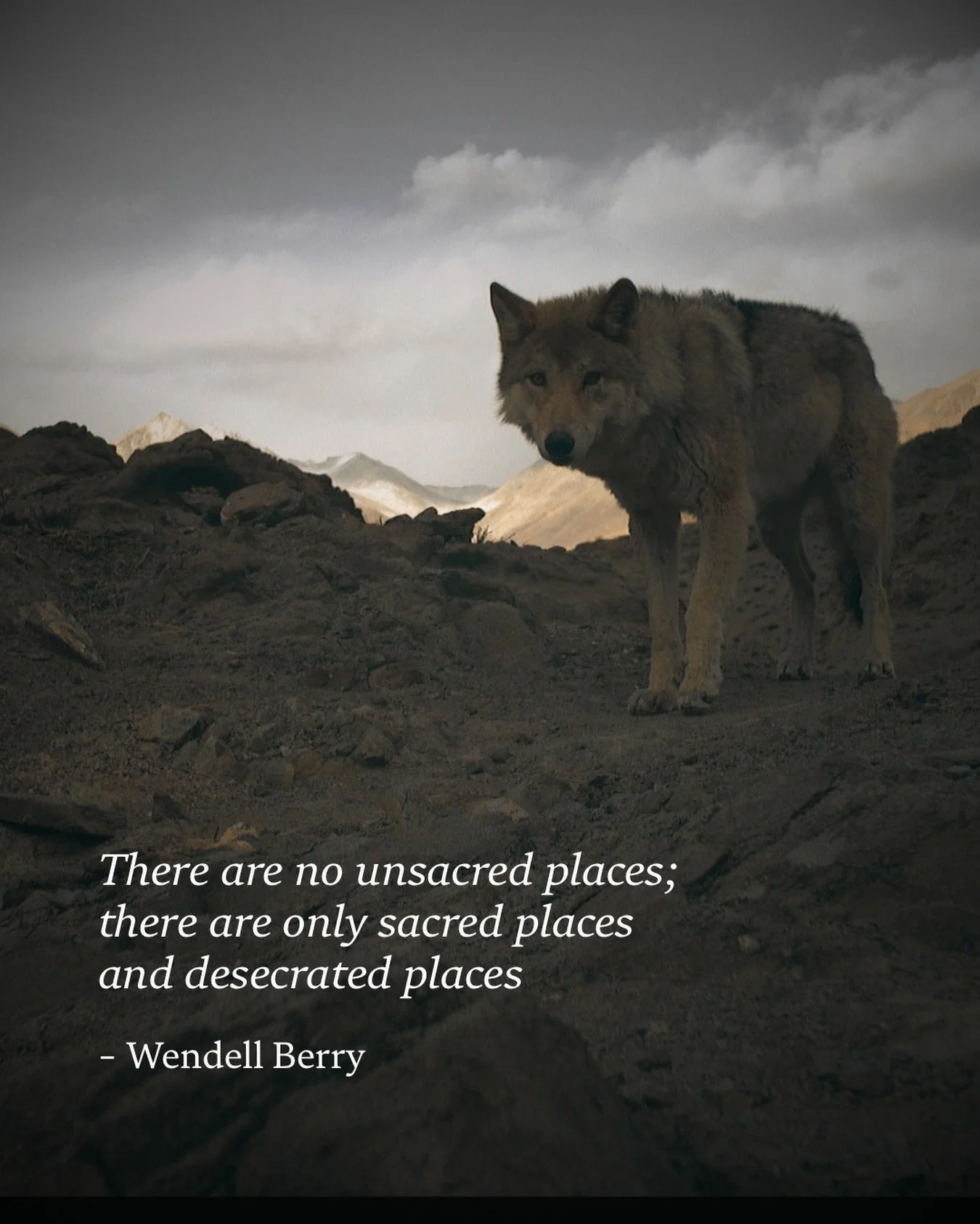 Happy #earthday2026 

May we walk upon this earth in reverence and care, knowing that all land is sacred land.

Image by @munibkhanyari, Ladakh