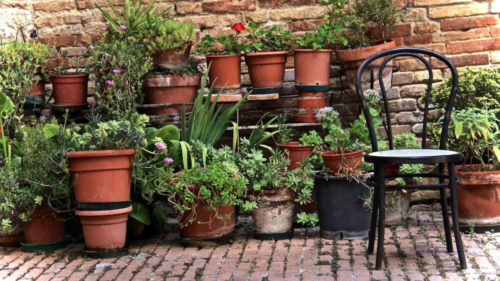 Fruhling Sommer Draussen Geniessen Geschenke Fur Balkon Und Garten Gooodgift