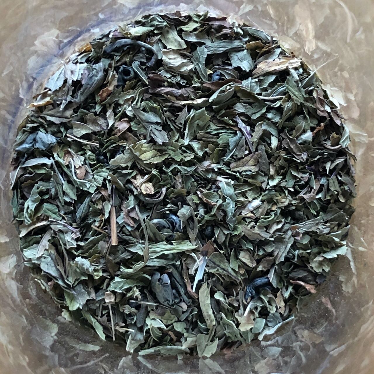 Moroccan Mint.jpeg