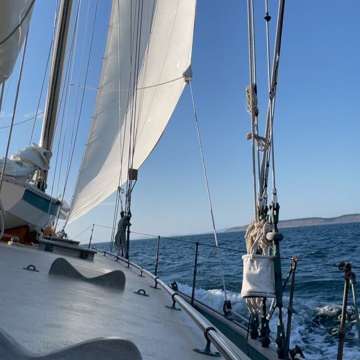 Many thanks to Holly and Robert and crew for the magical cruise on Schooner Martha Tuesday evening. #schoonermartha And then the bird show followed by a trip to the car wash of course. #atthecarwash