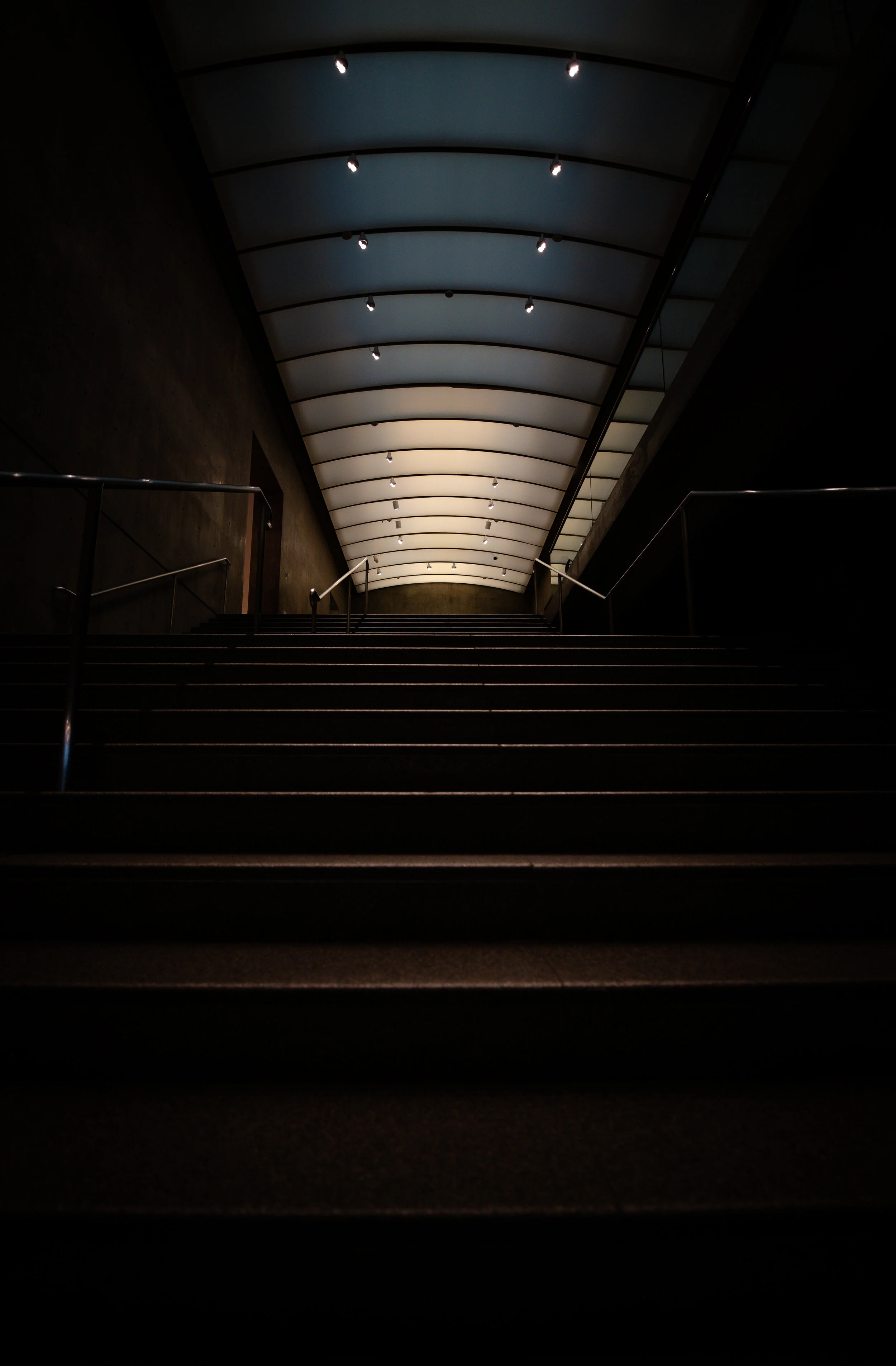 156C66AE-97F1-4D19-A15A-4DEEAFF2A373.jpeg