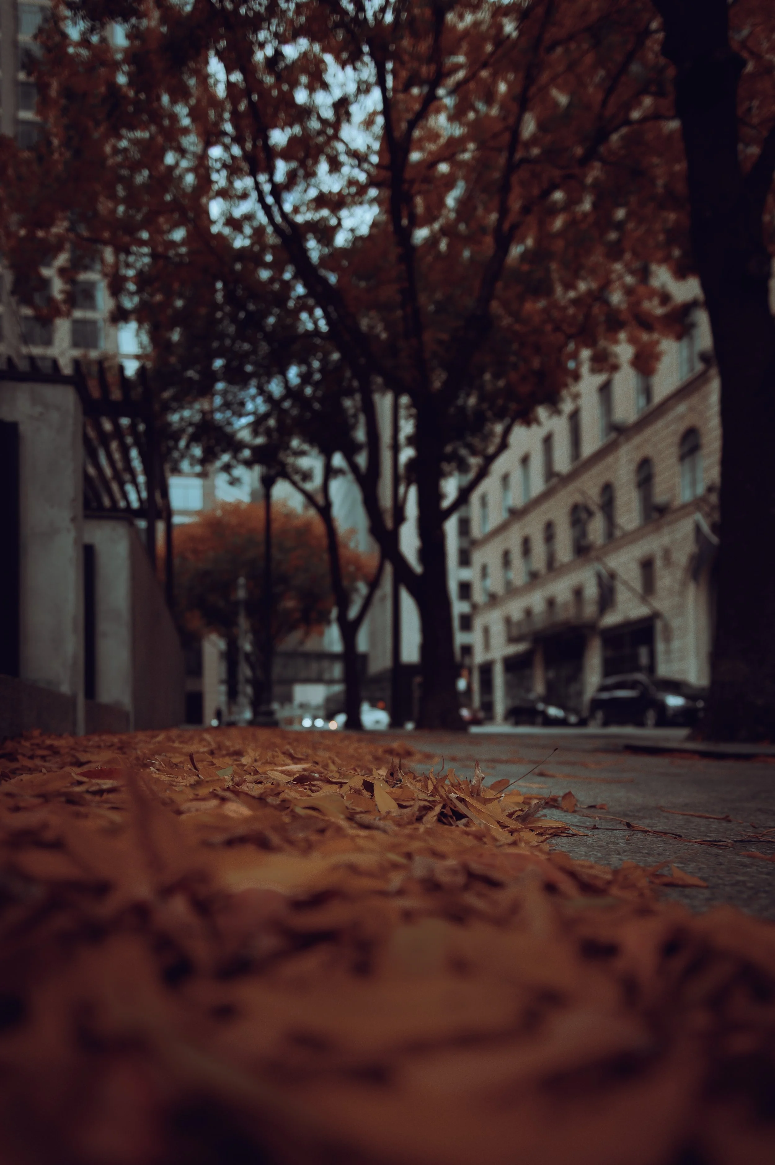 EC71F91D-67F2-4CDC-8363-C47234B7F143.jpeg