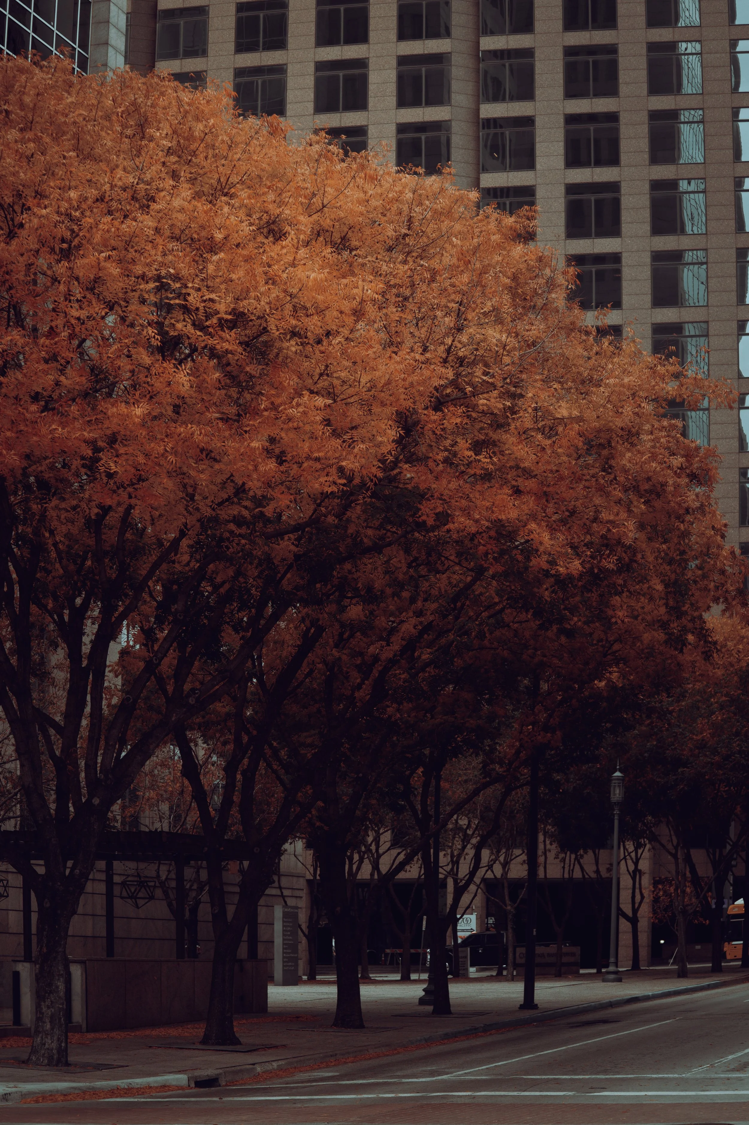 72EB91F7-33AA-434D-8A4A-4BA9A9792728.jpeg