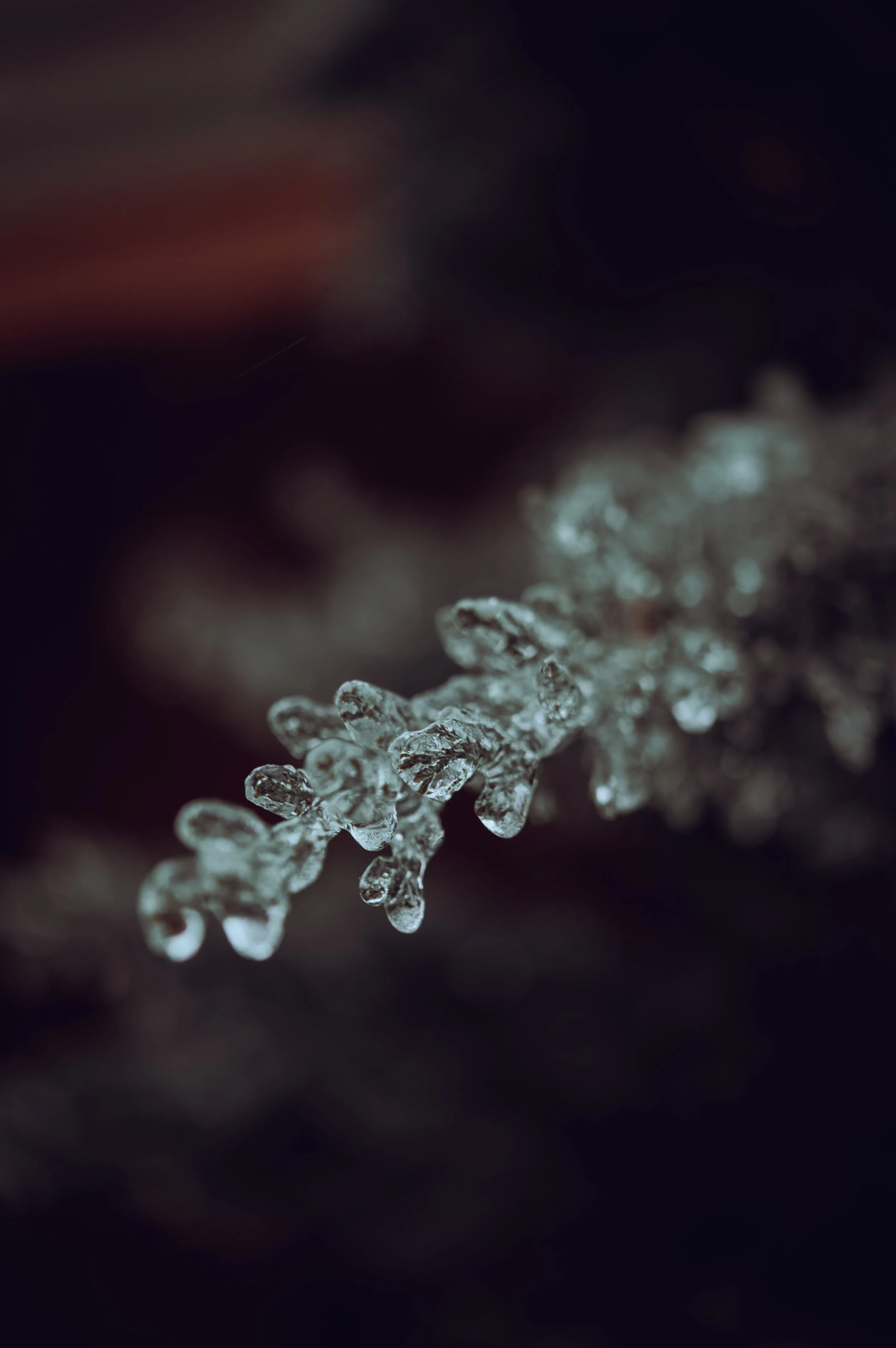 DEB15201-243E-4604-A5E8-55EE935A4F6E.jpeg
