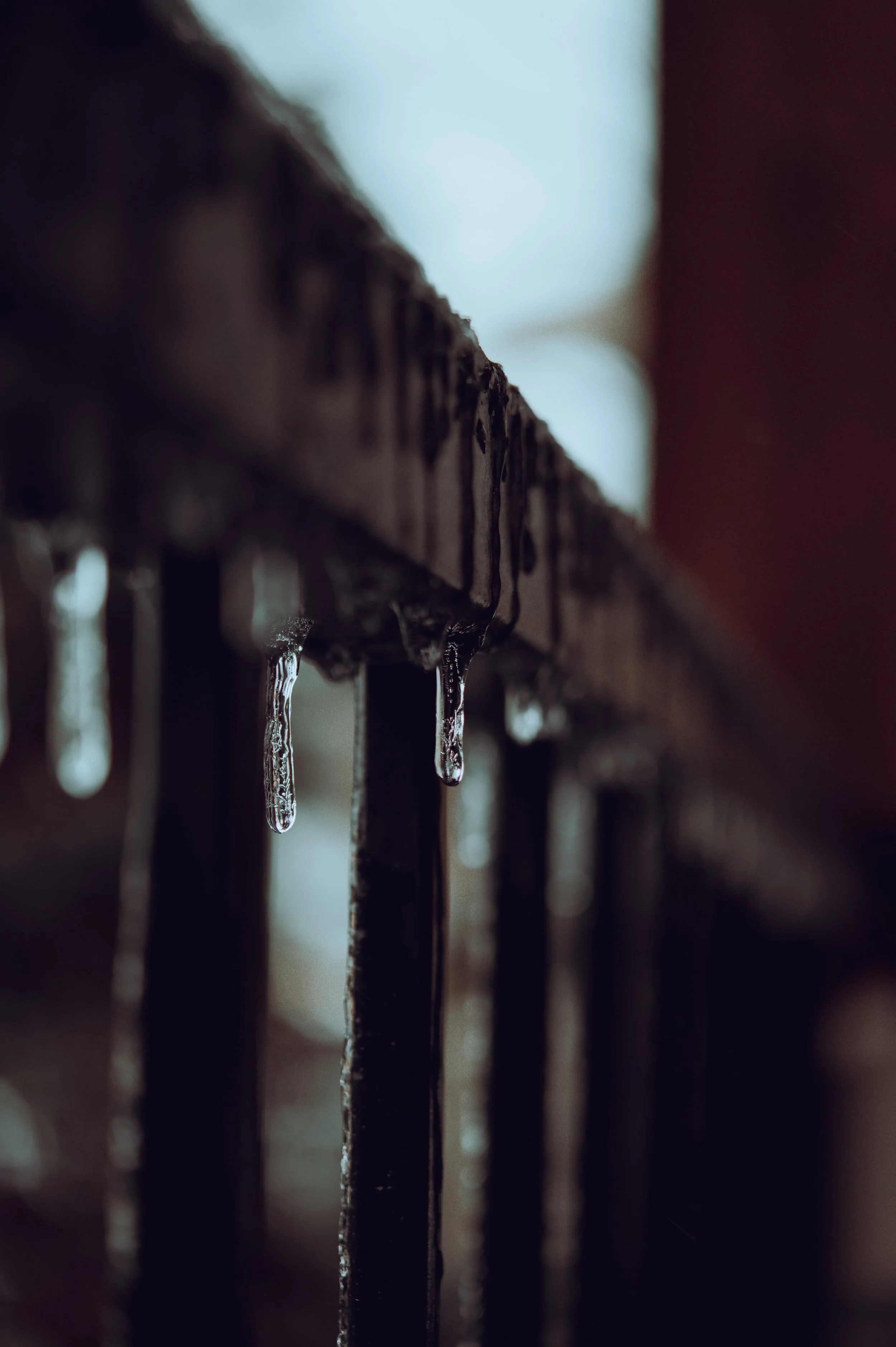57B65623-001F-405E-B09C-83150867F192.jpeg