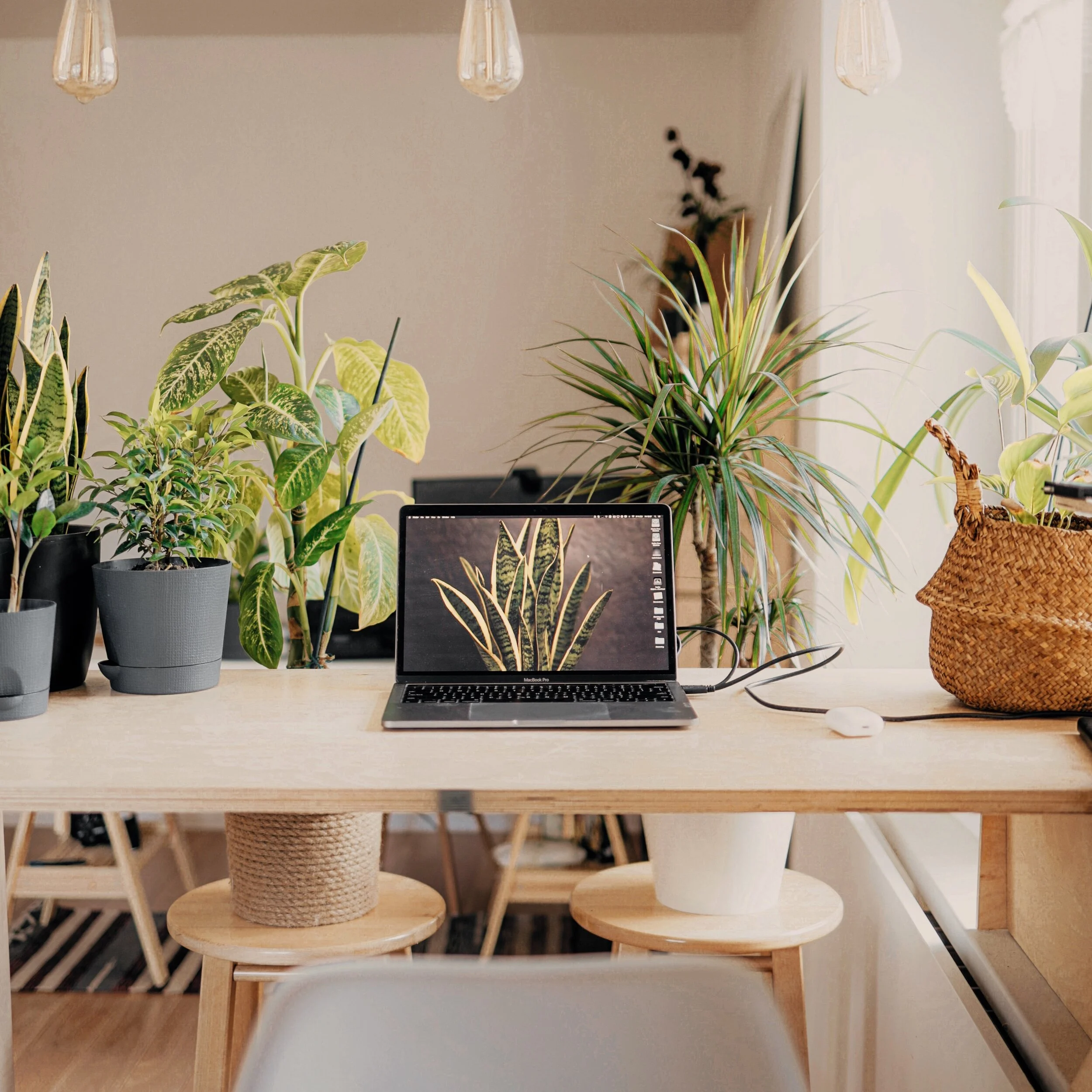 Tips for Starting a New Job Remotely